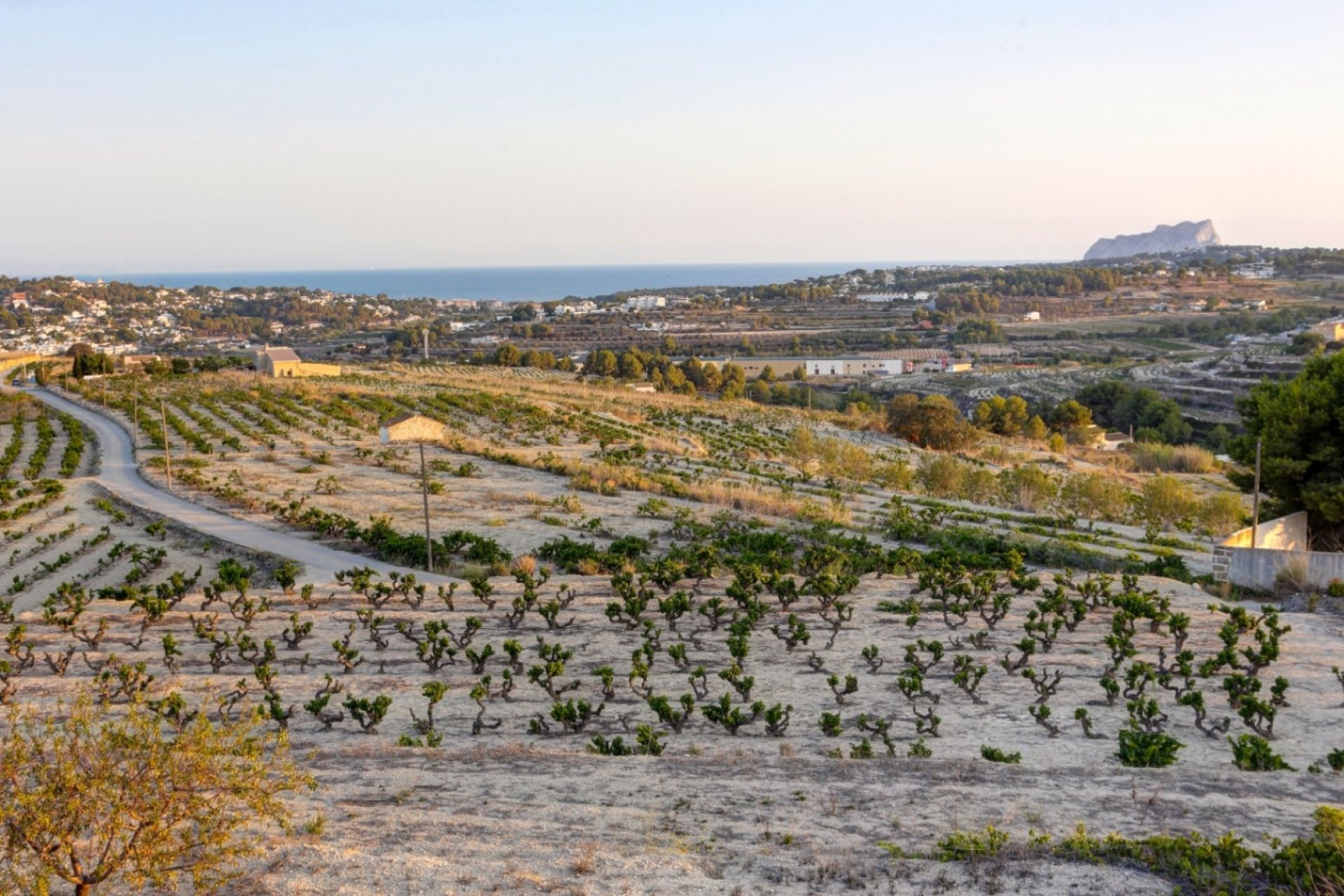 Finca - Casa de Campo - Villa - Moraira - Campo