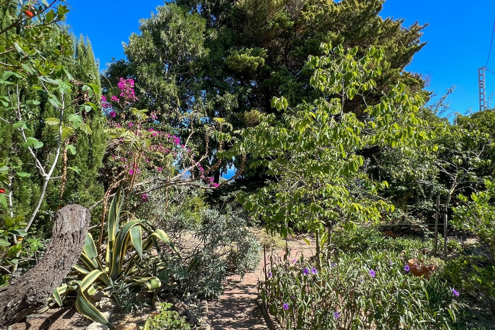 Finca - Country House - Villa - Moraira