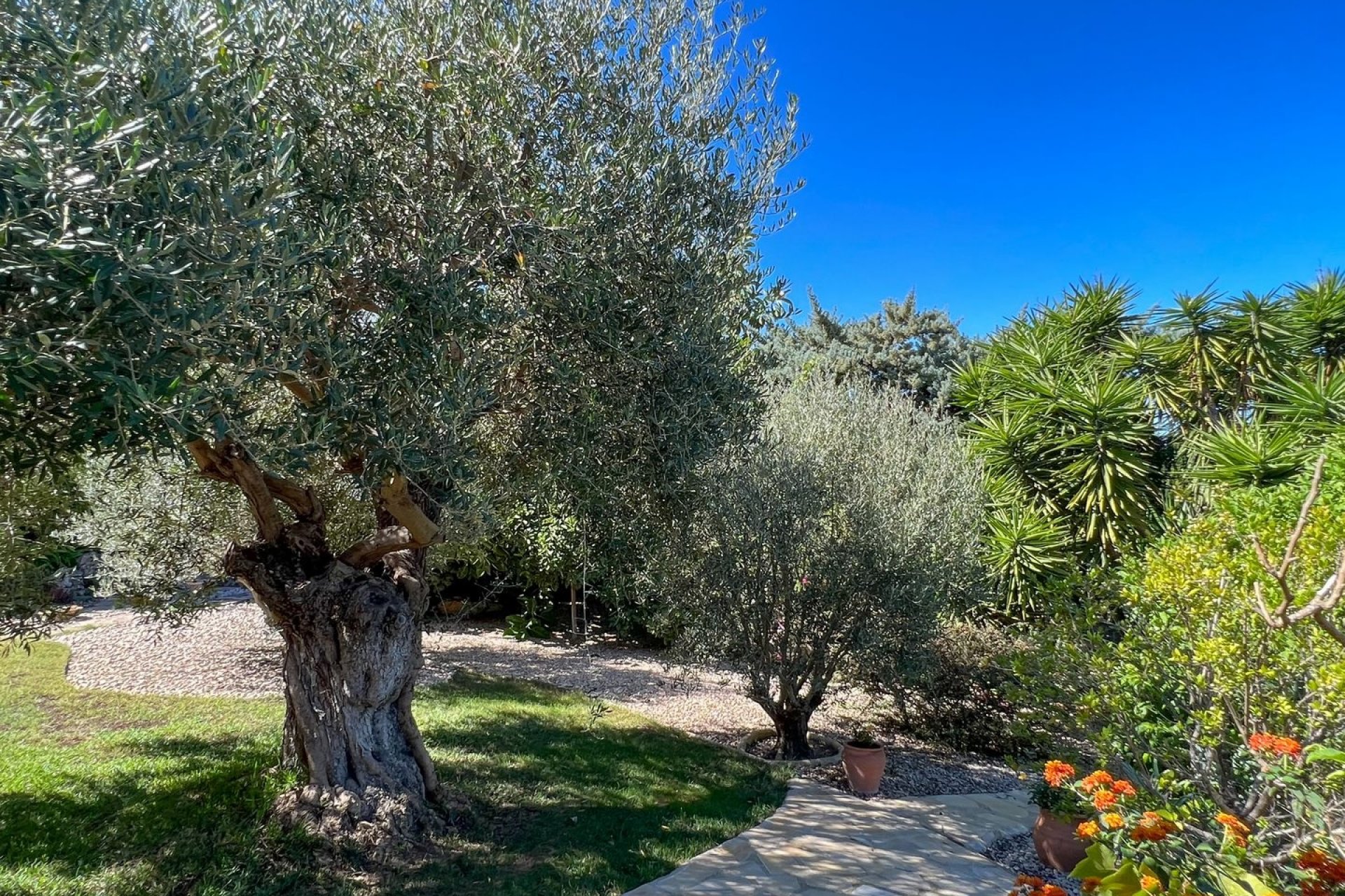 Finca - Country House - Villa - Moraira