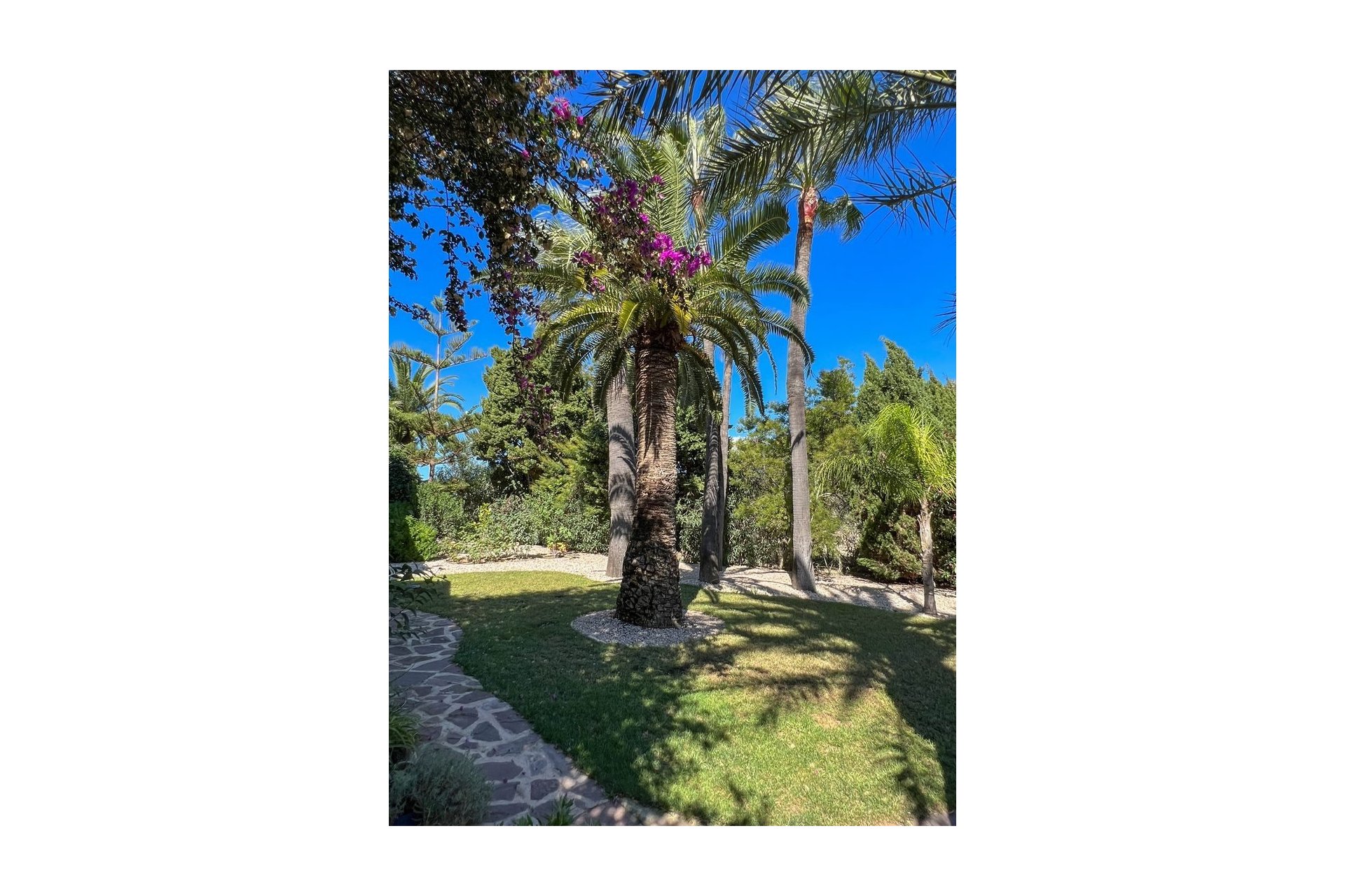 Finca - Country House - Villa - Moraira