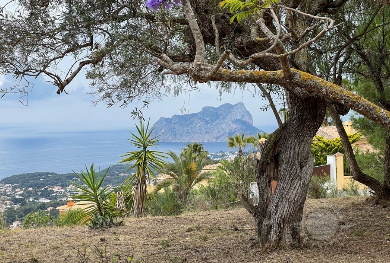 Finca - Landhaus - Villa - Moraira