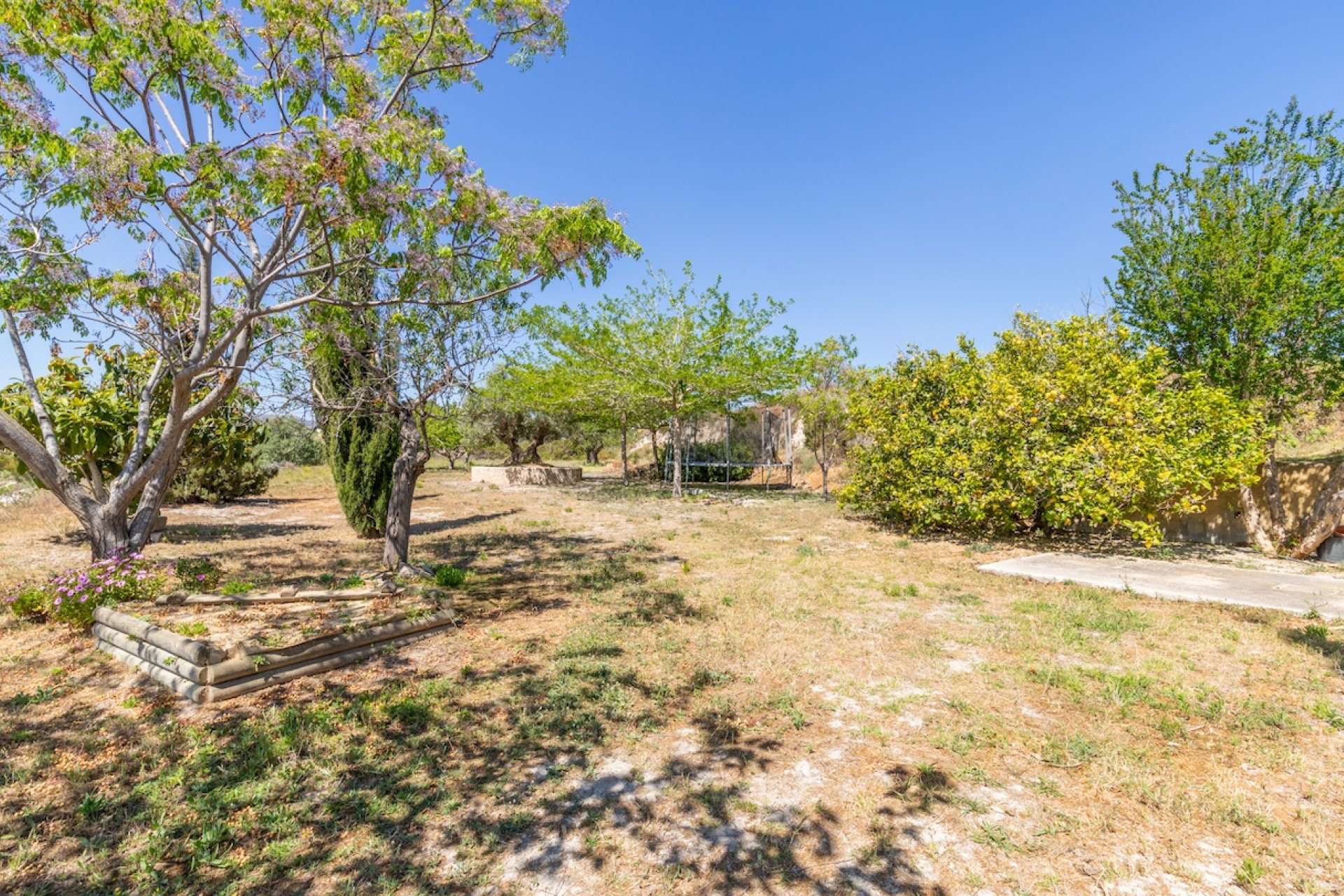 Finca - Landhaus - Villa - Teulada - Campo