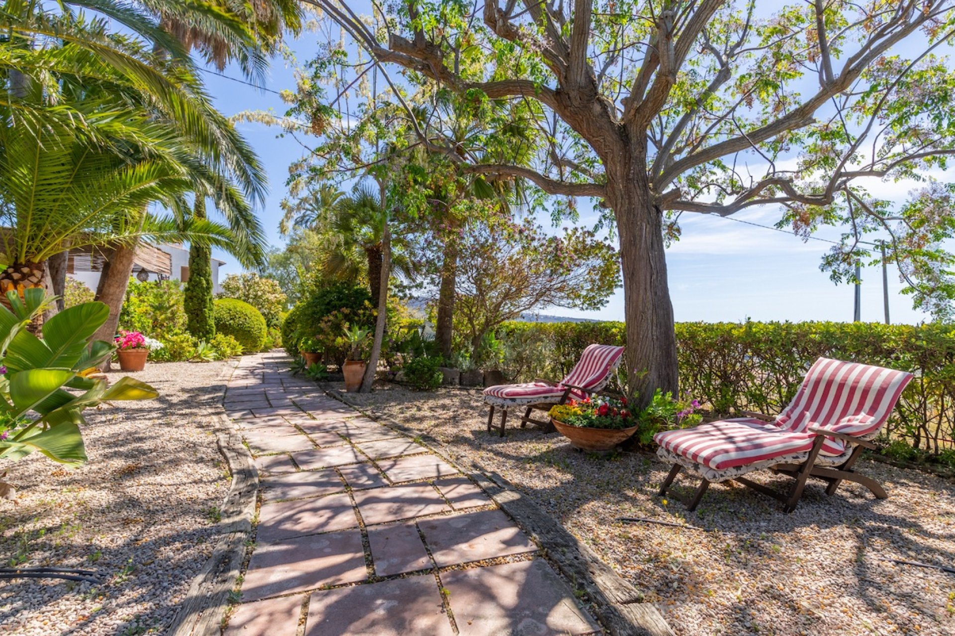 Finca - Landhaus - Villa - Teulada - Campo
