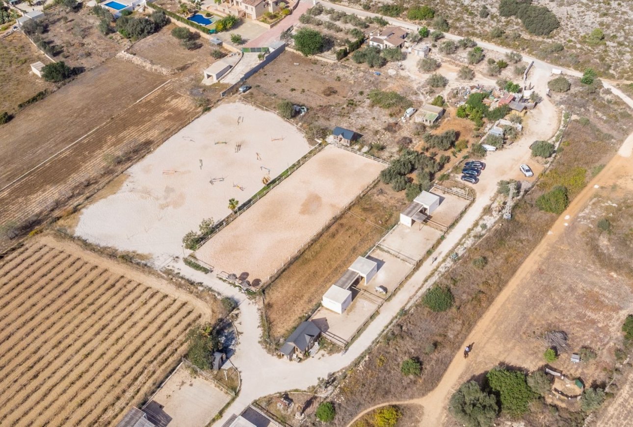 Finca - Landhaus - Villa - Teulada - Campo