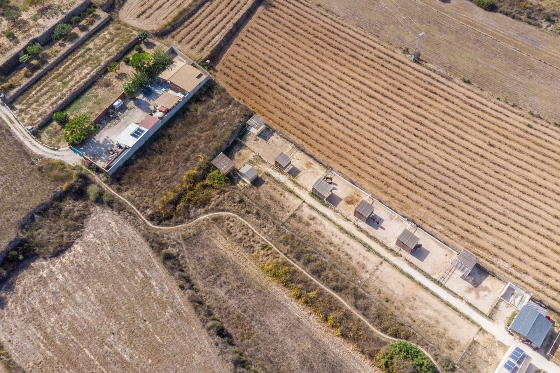 Finca - Landhaus - Villa - Teulada - Campo