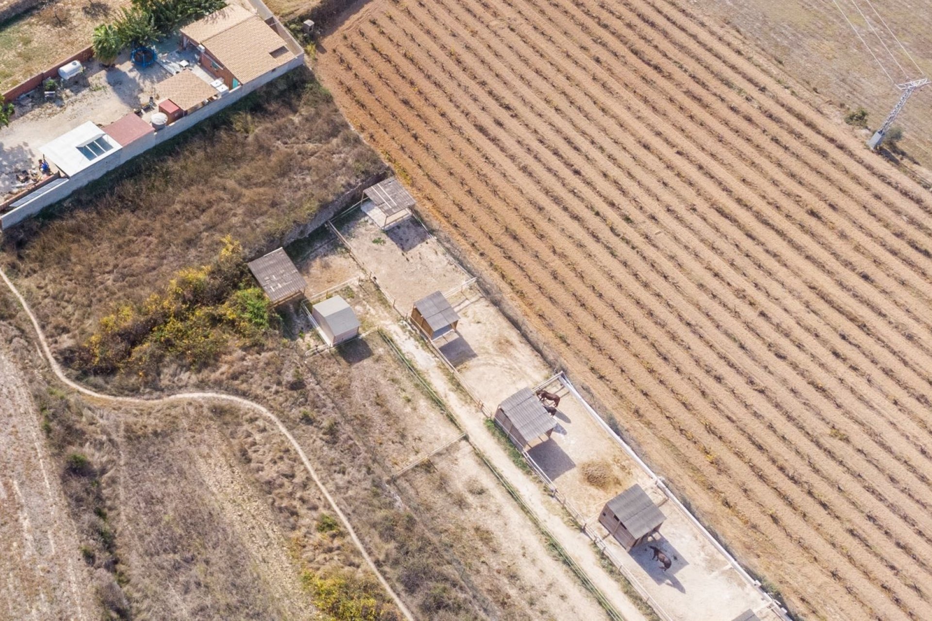 Finca - Landhaus - Villa - Teulada - Campo