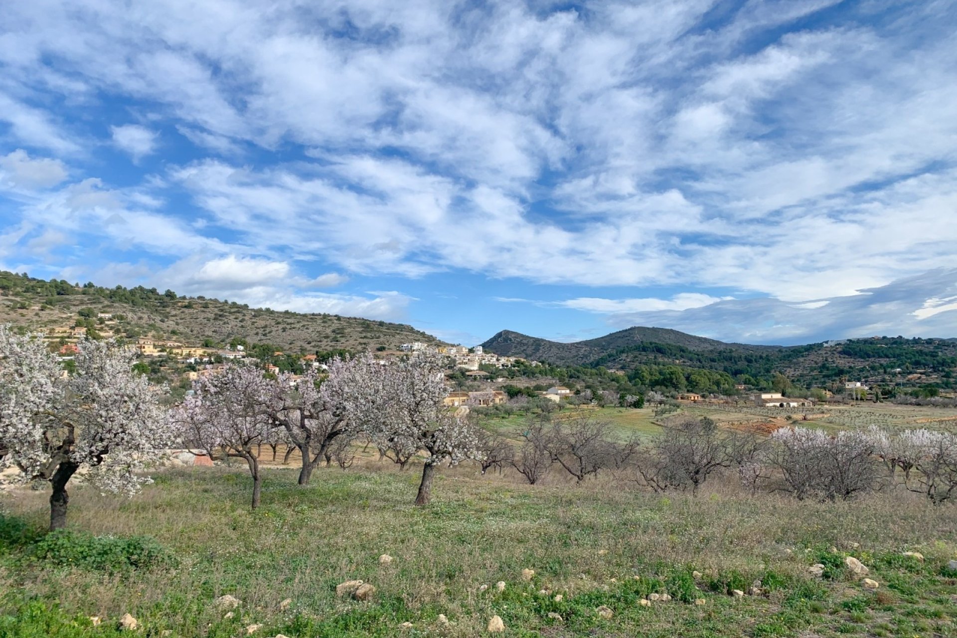 Finca - Landhuis - Villa - Benissa - Senija