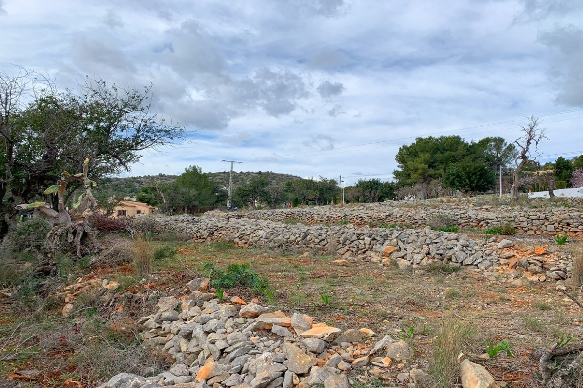 Finca - Landhuis - Villa - Benissa - Senija