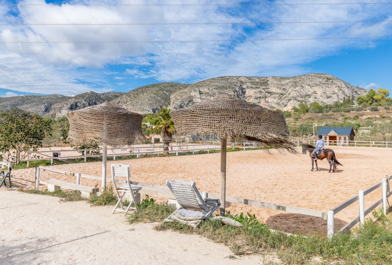 Finca - Landhuis - Villa - Teulada - Campo