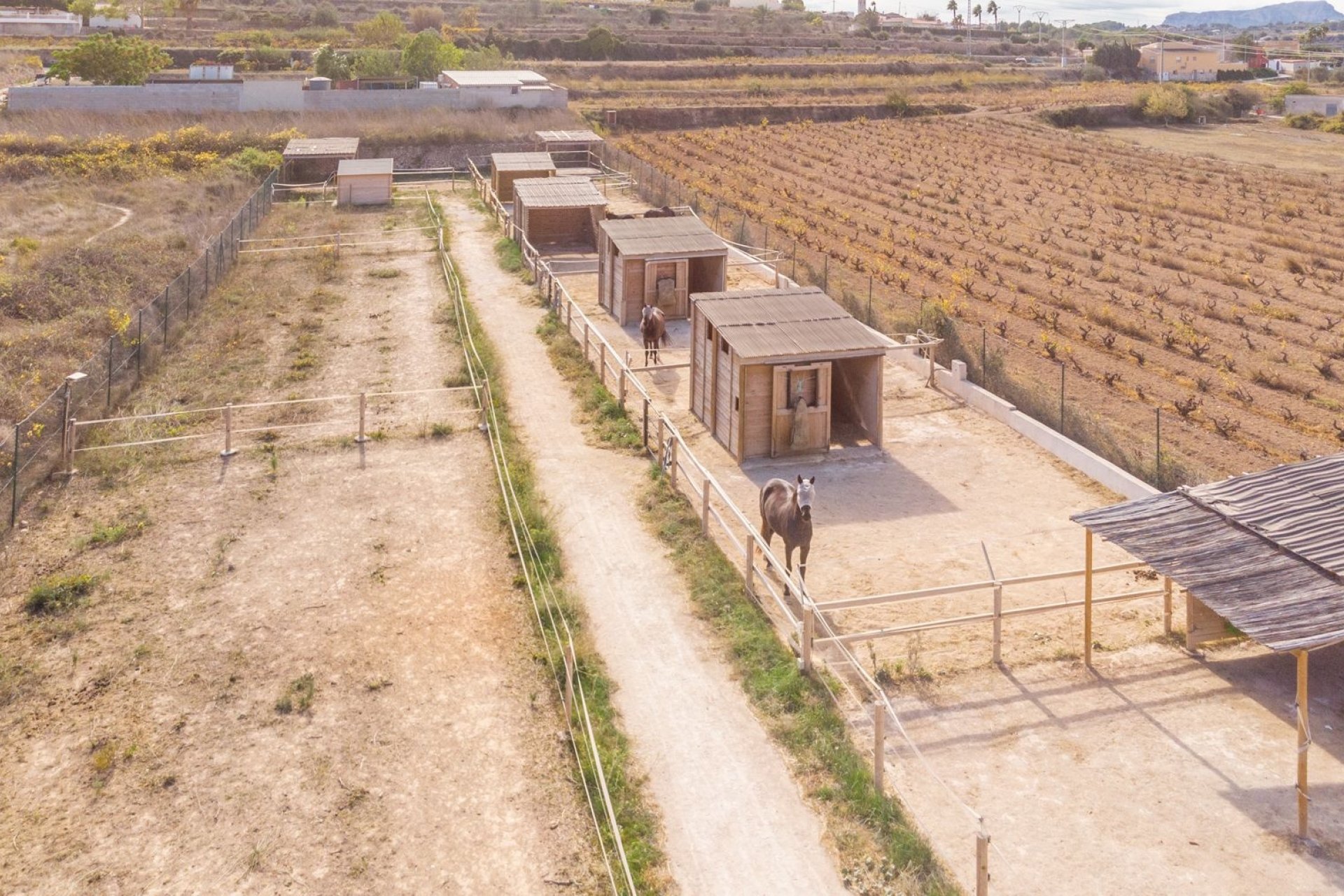 Finca - Landhuis - Villa - Teulada - Campo