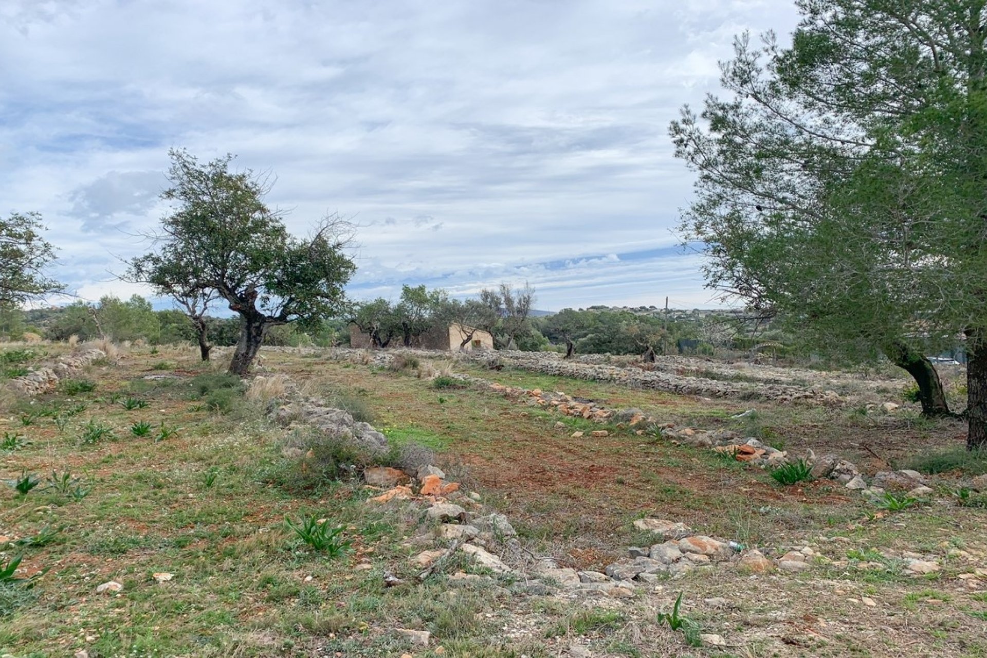 Finca - Maison de campagne - Villa - Benissa - Senija