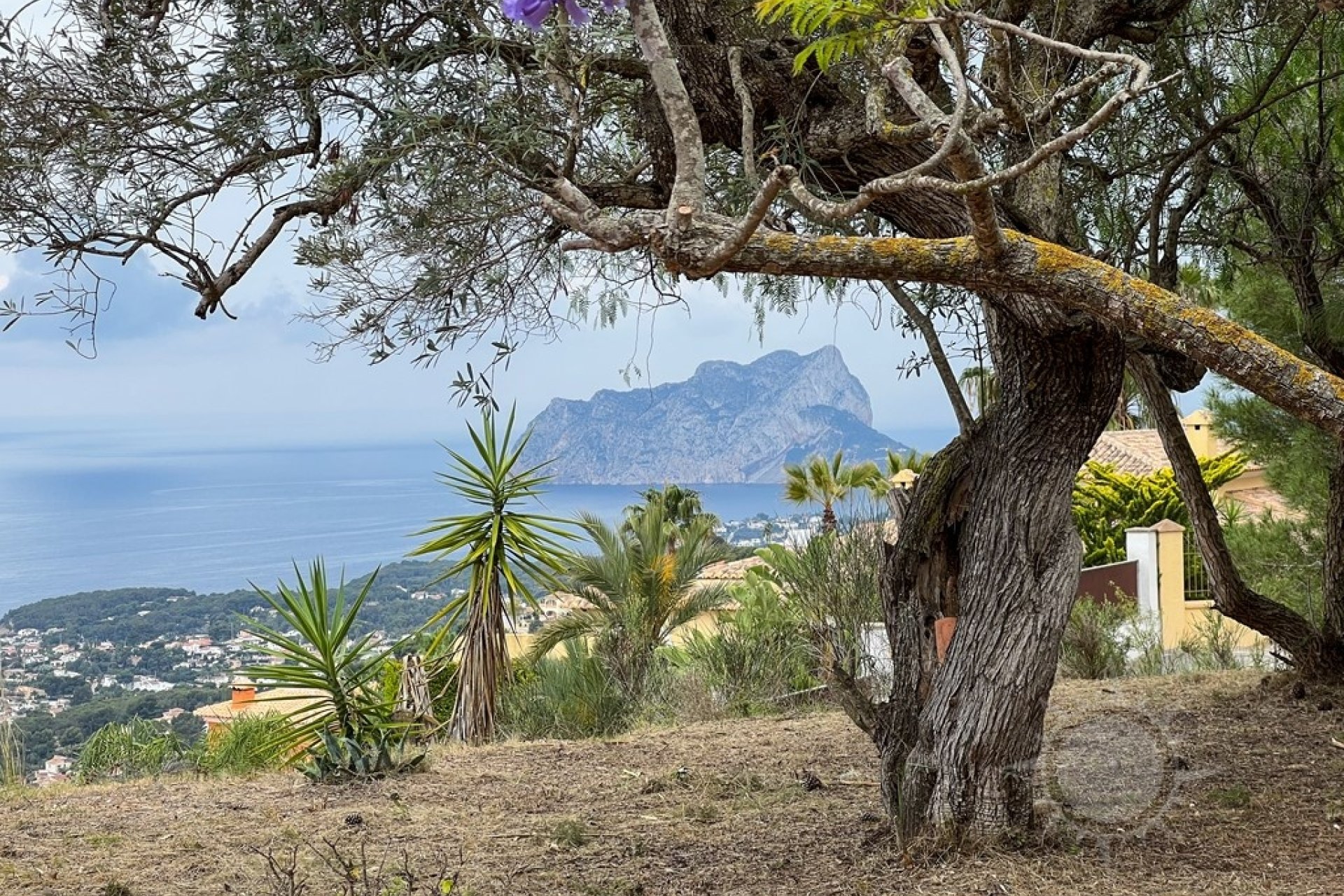 Finca - Maison de campagne - Villa - Moraira