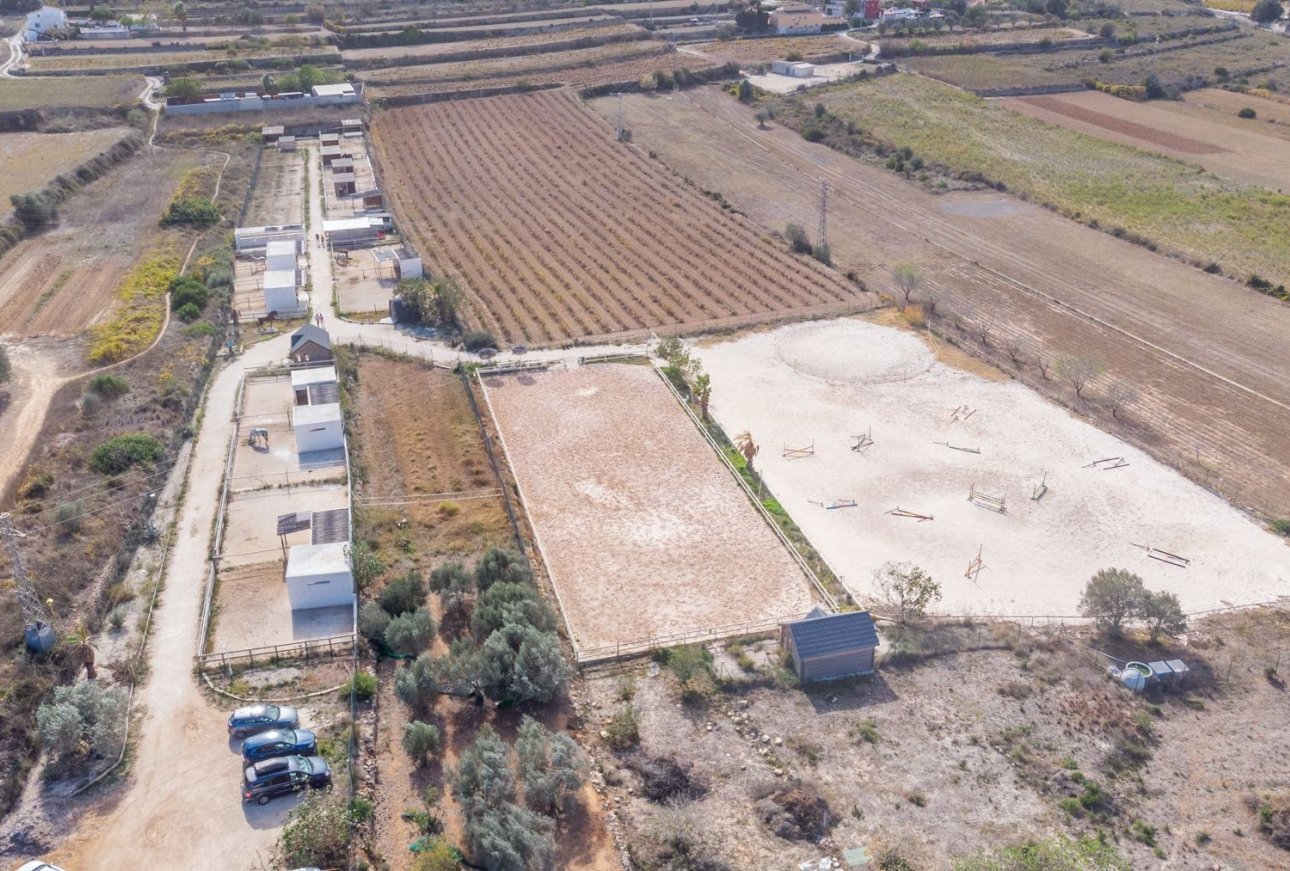 Finca - Maison de campagne - Villa - Teulada - Campo