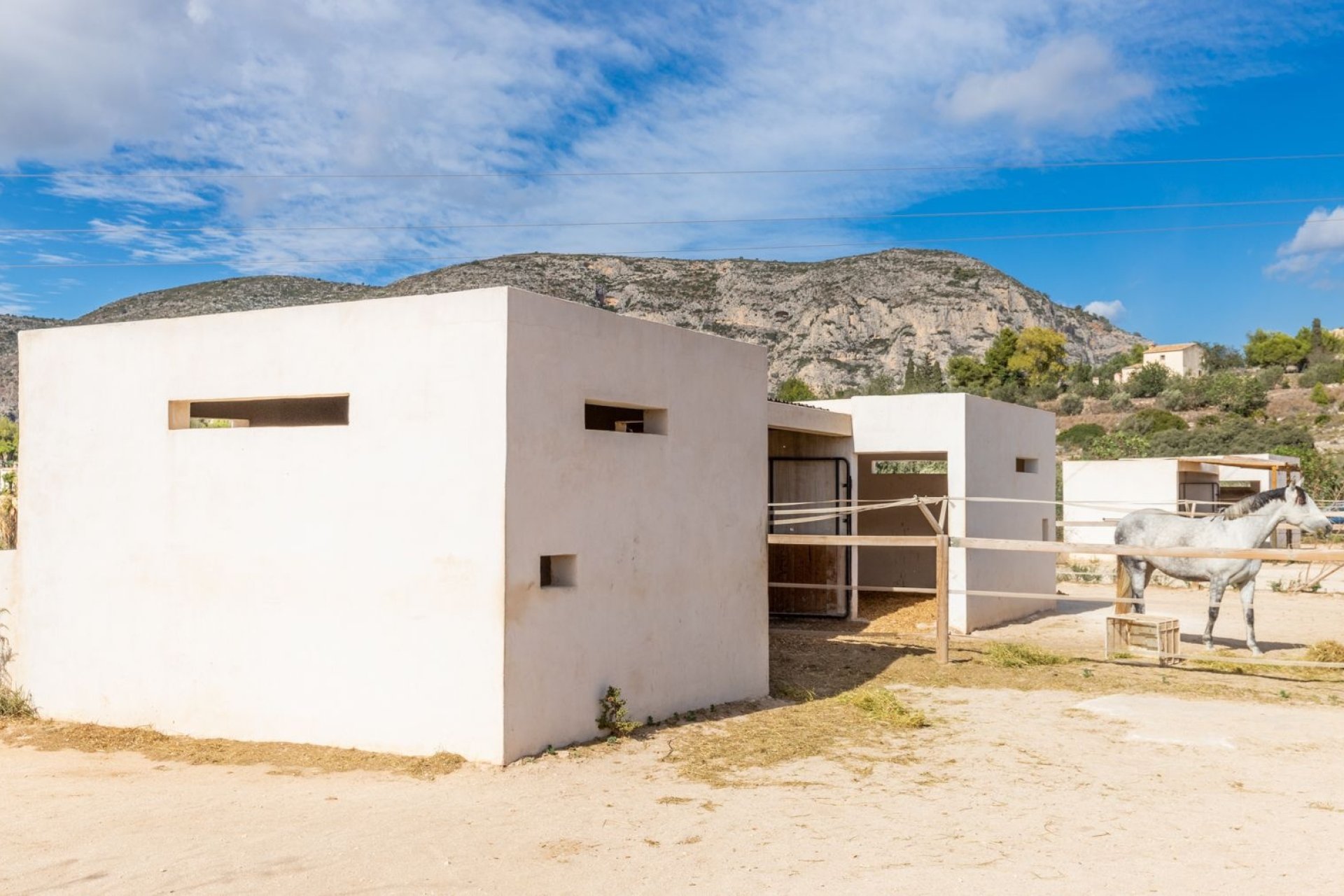 Finca - Maison de campagne - Villa - Teulada - Campo