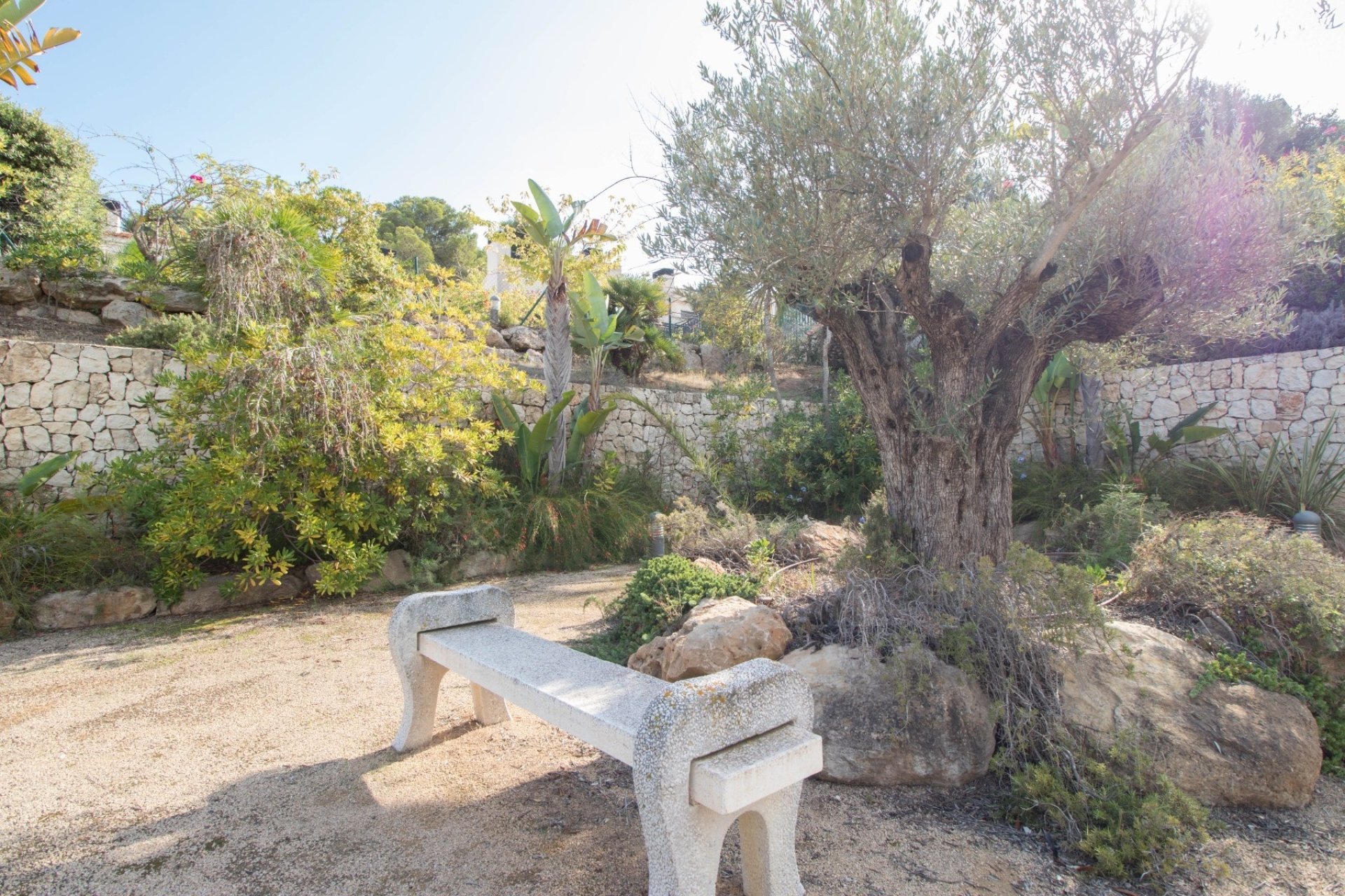 Jardins paysagers de la Moraira Sport Villa