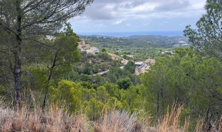 Land - Verkauf - Callosa d'En Sarrià - 03510