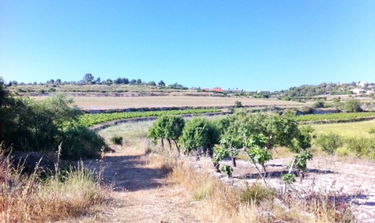 Land - Verkauf - Teulada - Benimarco