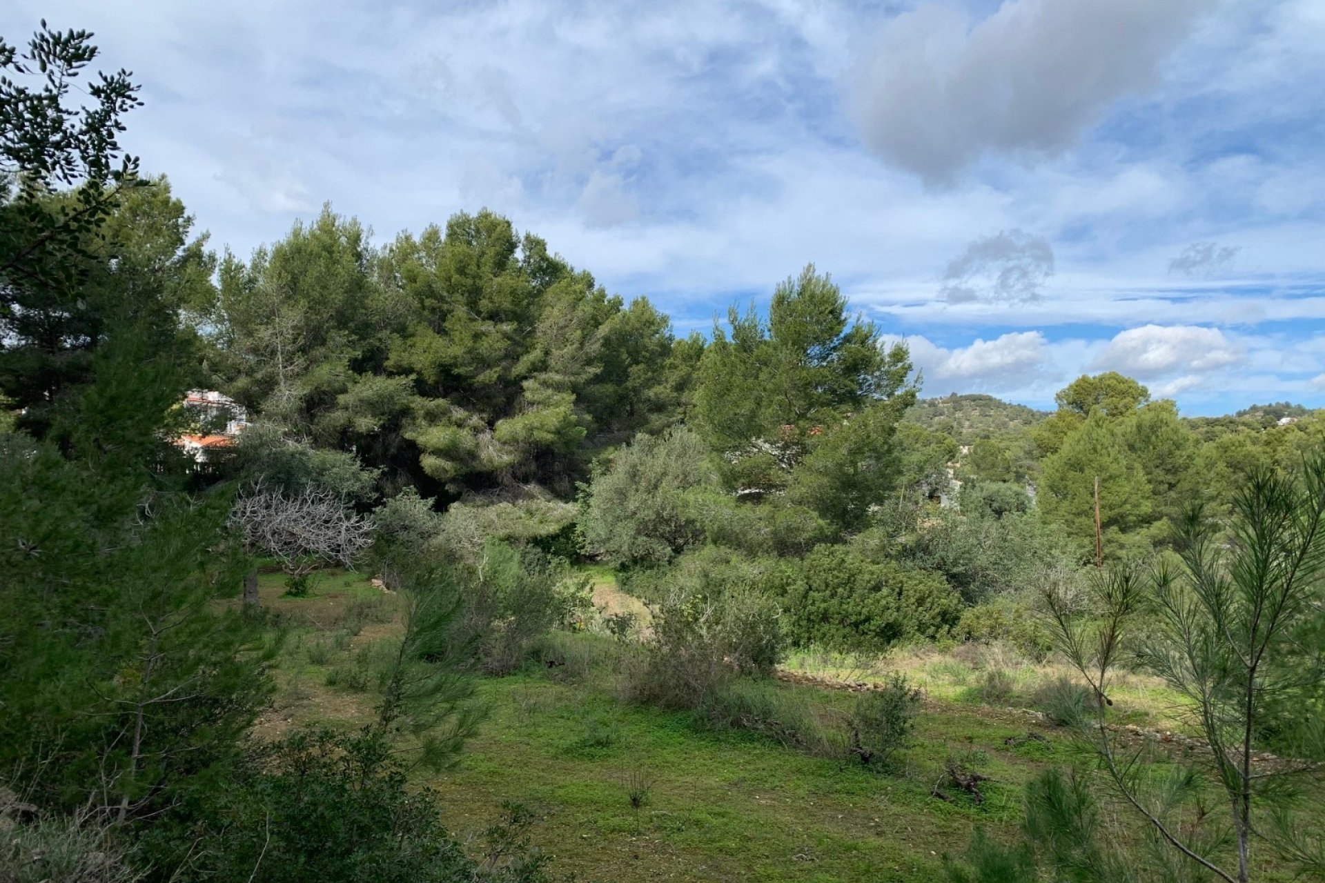Nieuw gebouw - Villa - Benissa - Buenavista