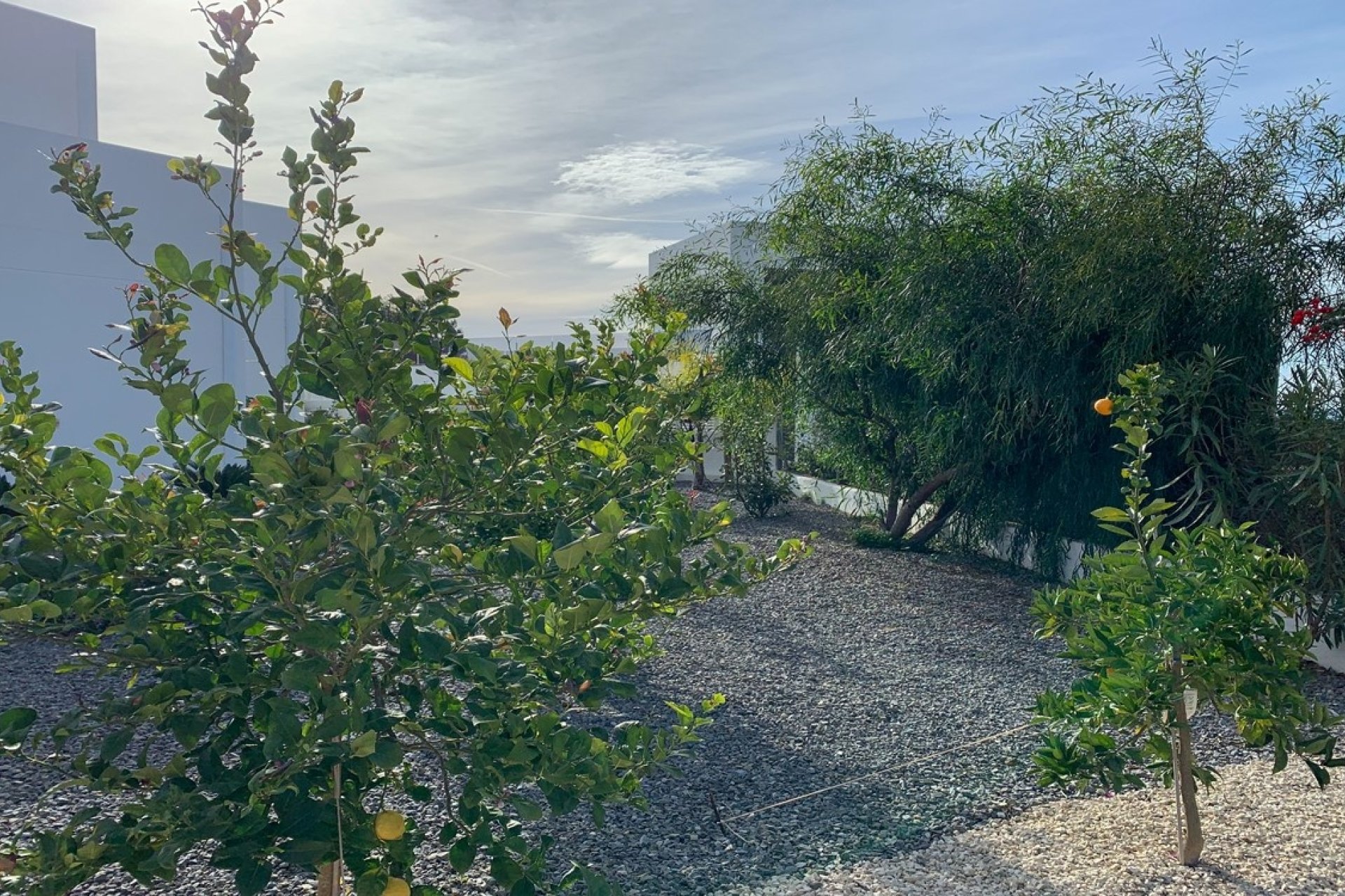 Nieuw gebouw - Villa - Calpe