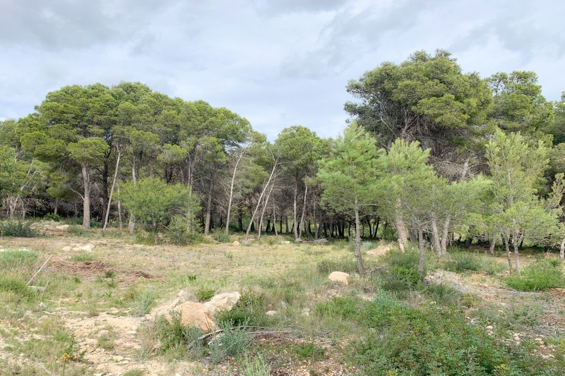 Nouvelle construction - Villa - Moraira