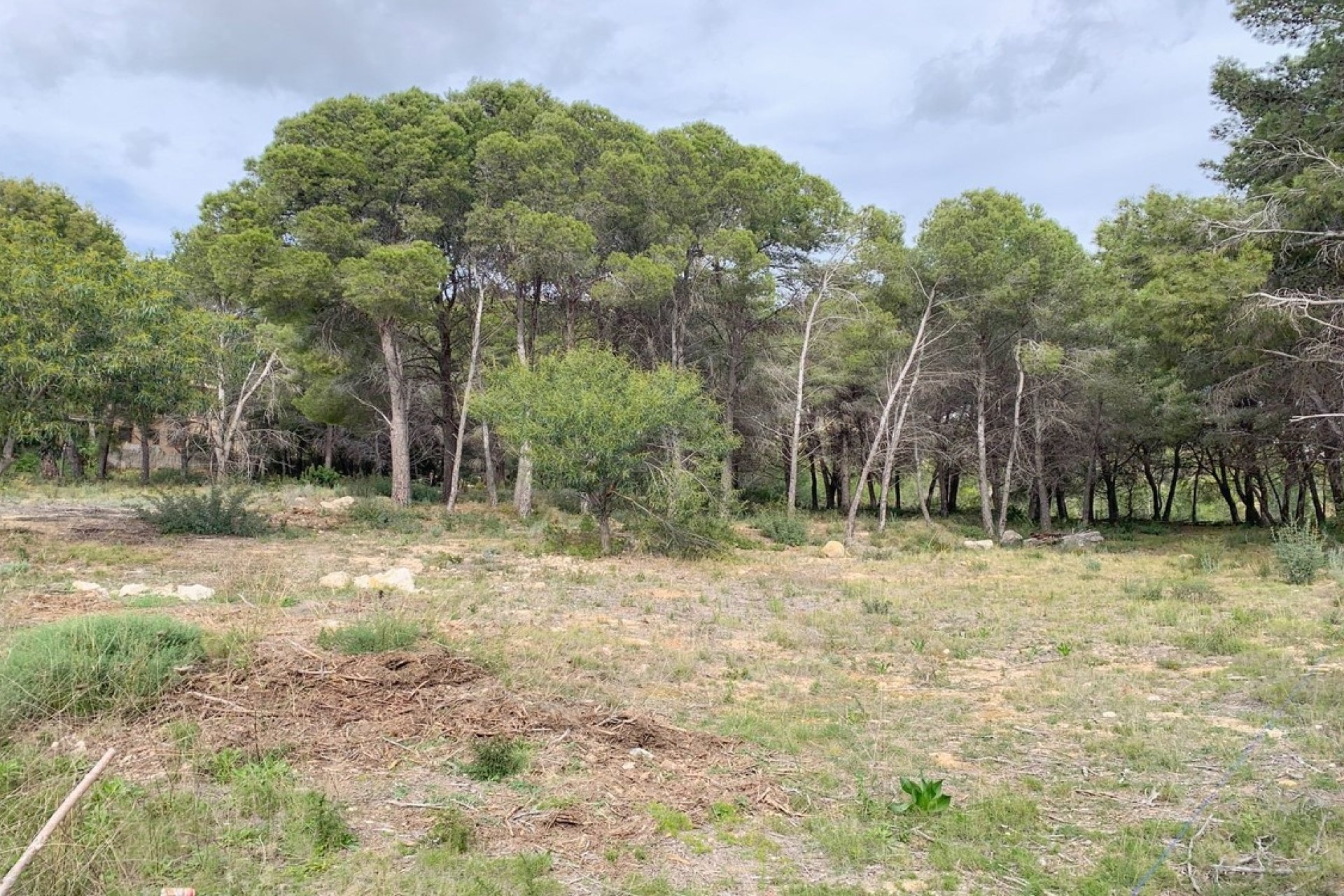 Nouvelle construction - Villa - Moraira