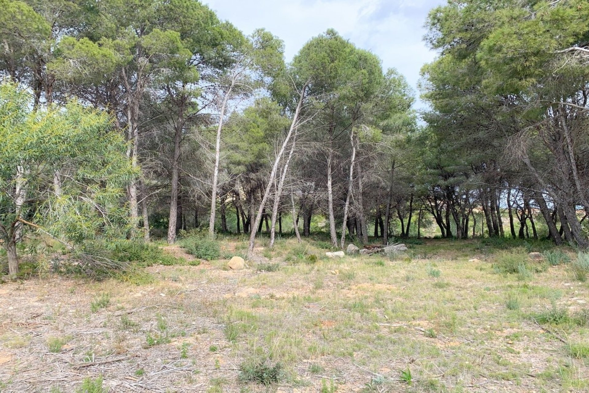 Nouvelle construction - Villa - Moraira