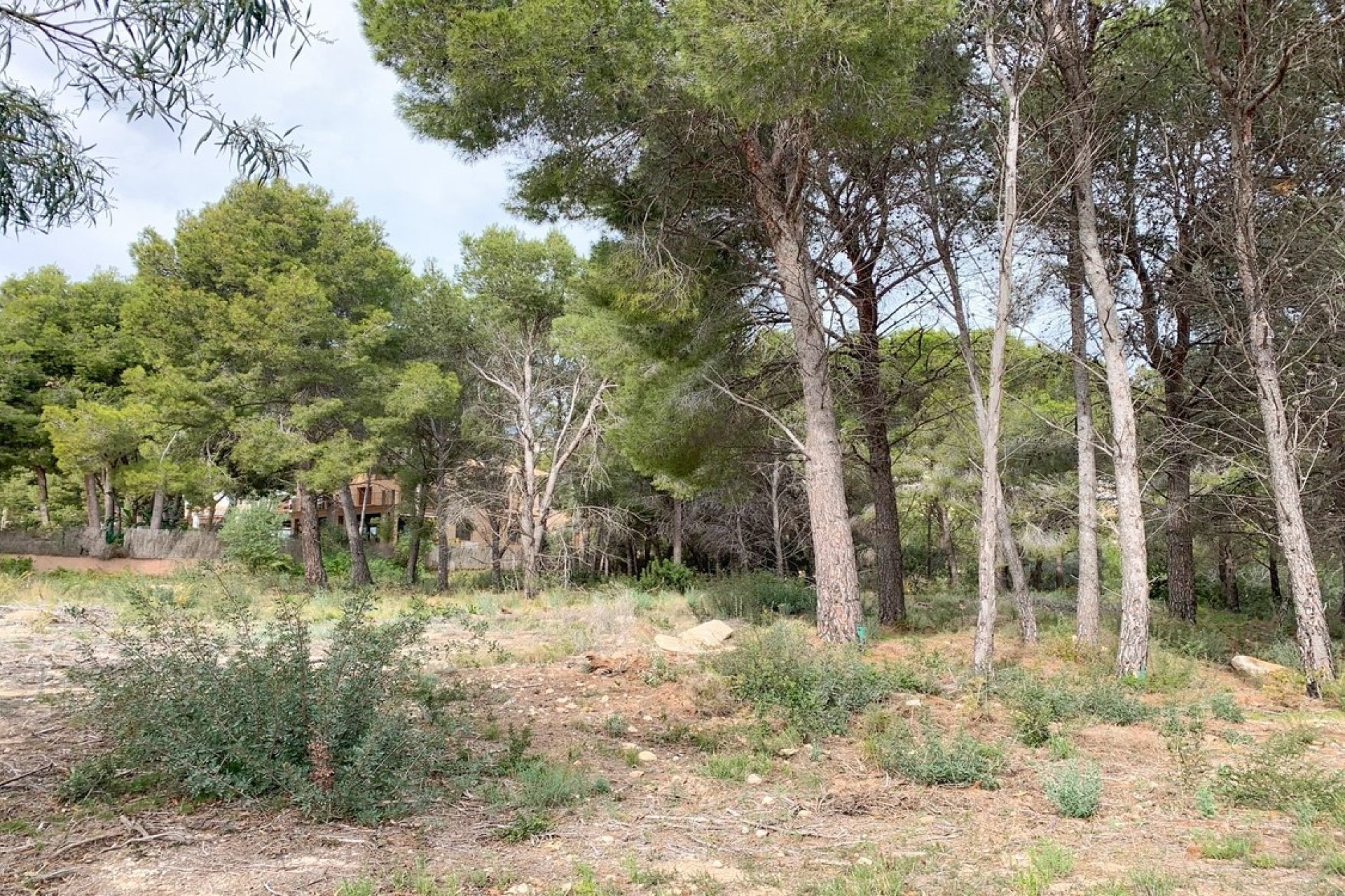 Nouvelle construction - Villa - Moraira
