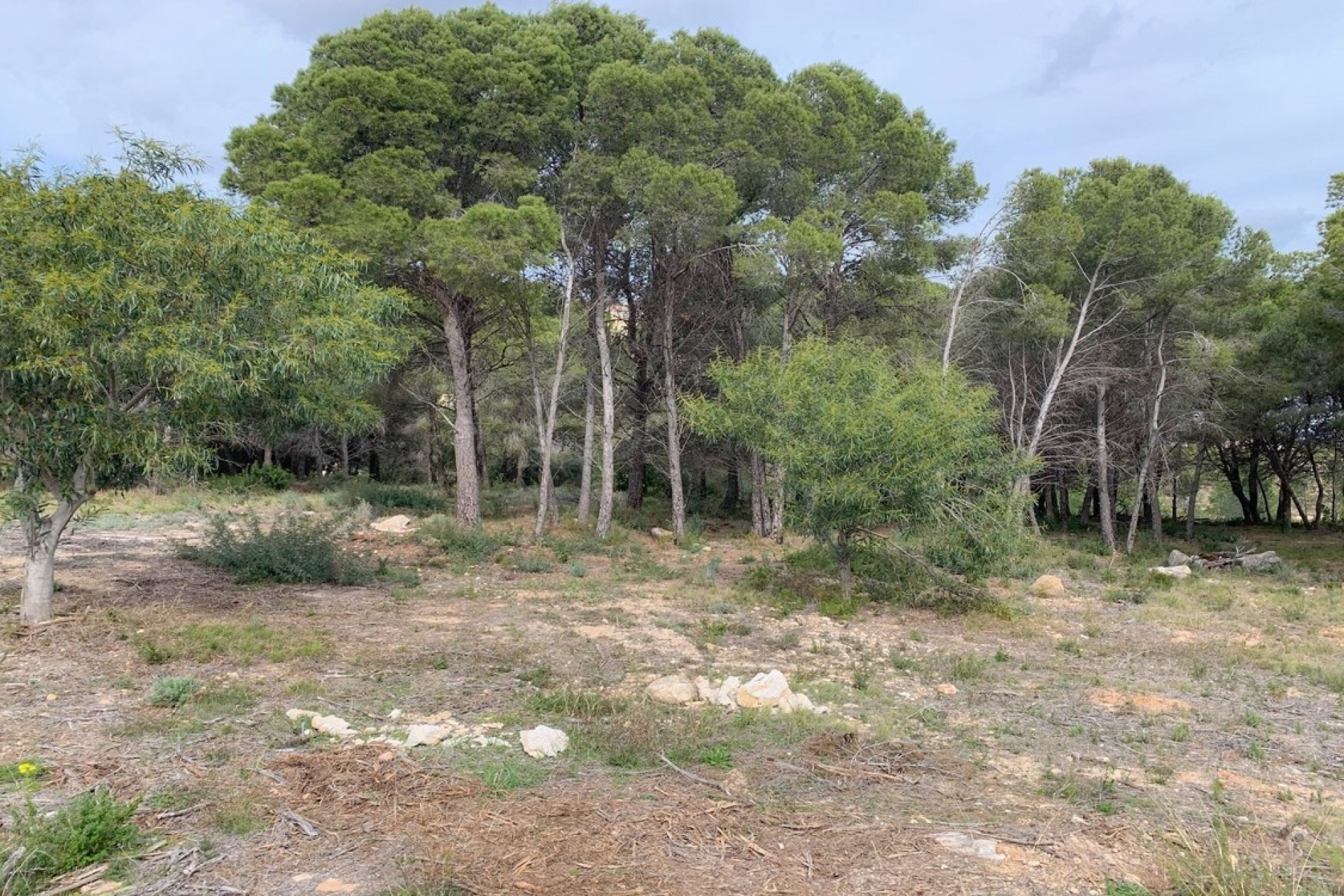 Nouvelle construction - Villa - Moraira