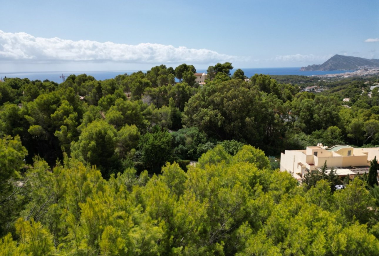 Obra nueva - Villa - Altea - Sierra Altea