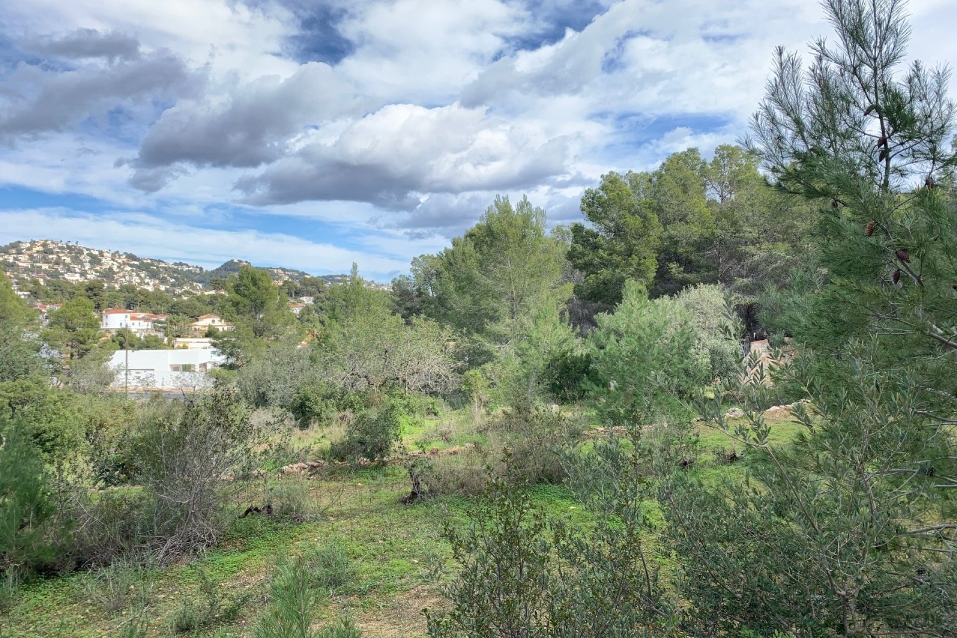 Obra nueva - Villa - Benissa - Buenavista
