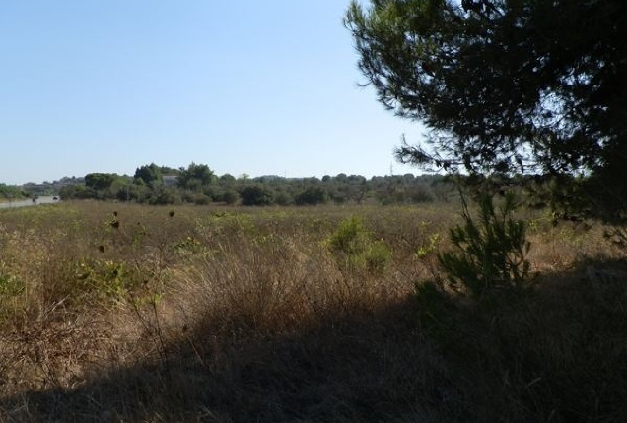 Sale - Commercial Property - Teulada - El Pla