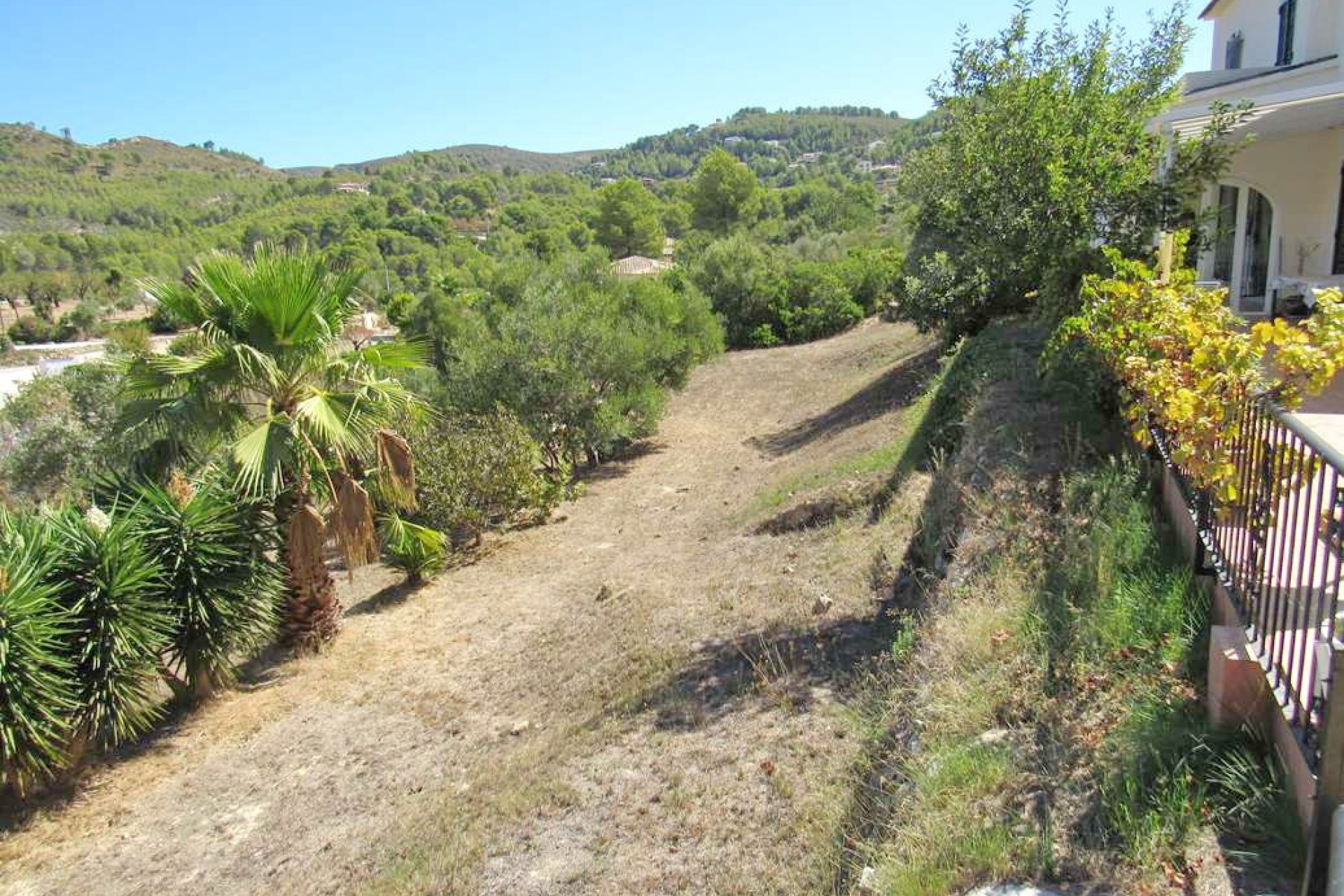 Sale - Finca - Jalón