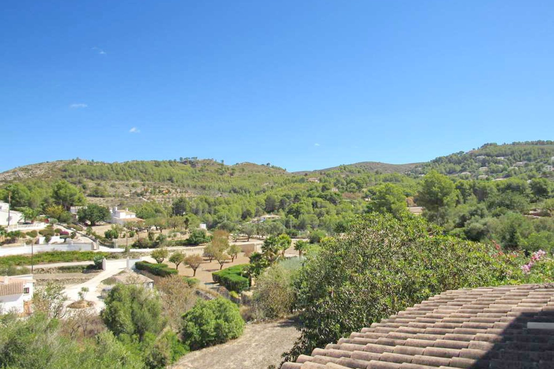 Sale - Finca - Jalón