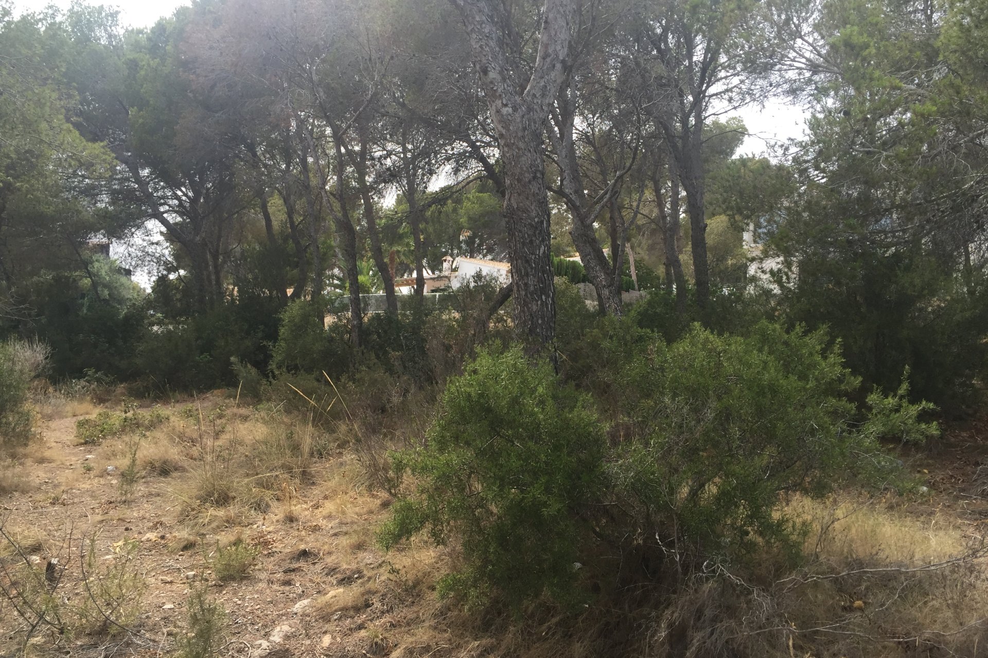 Sale - Land - Benissa - Benissa Costa