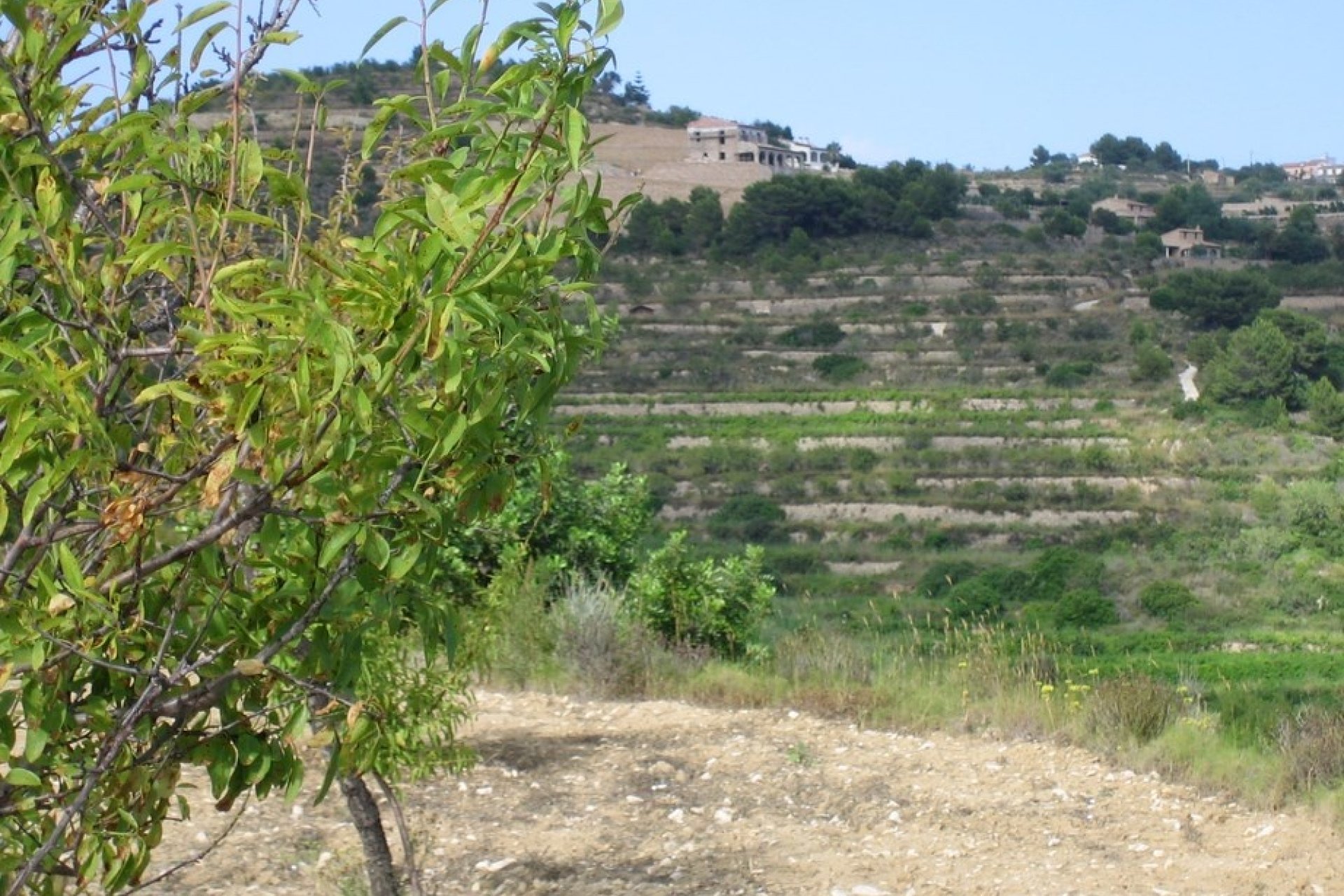 Sale - Land - Benissa - Rural