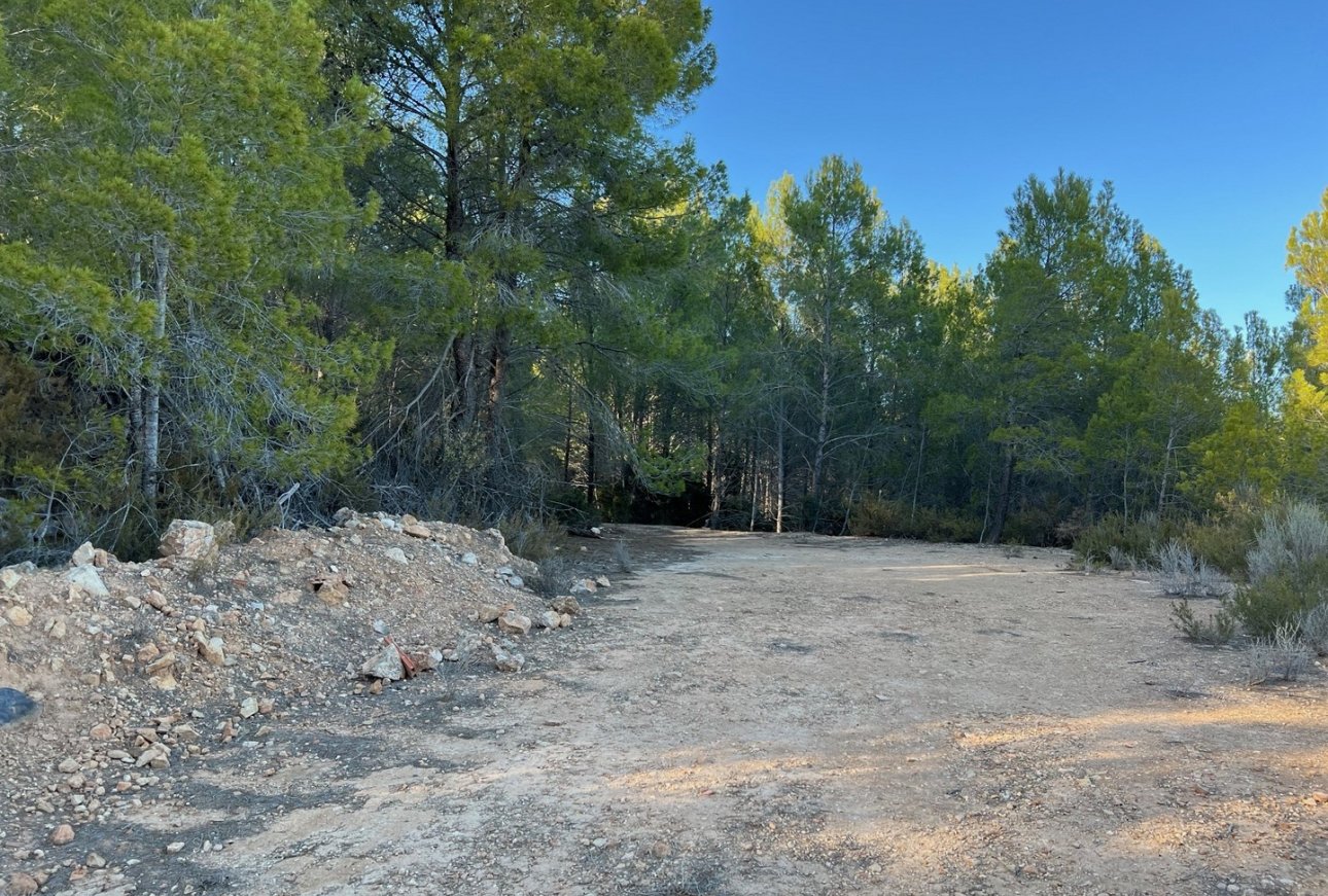 Sale - Land - Benissa - Rural