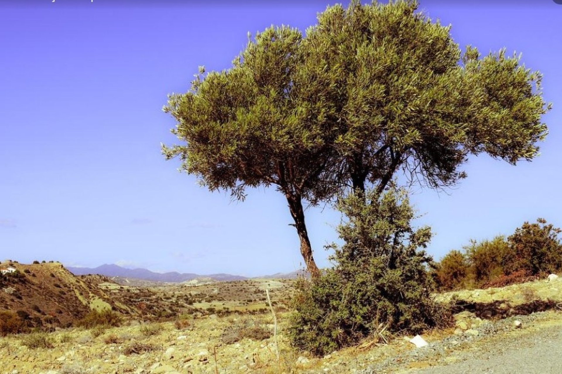 Sale - Land - Benissa - Senija