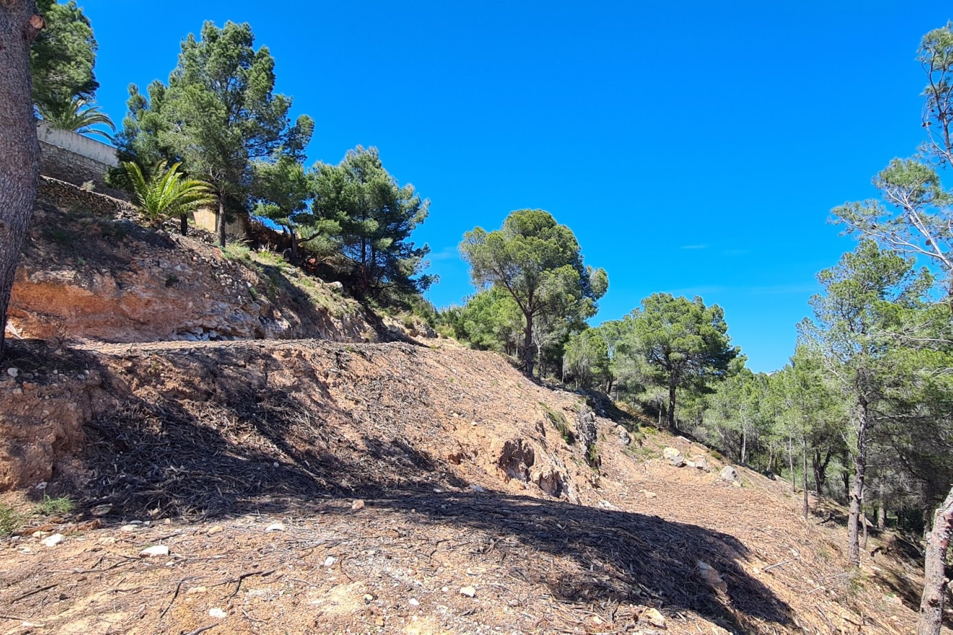 Sale - Land - Calpe - 03710
