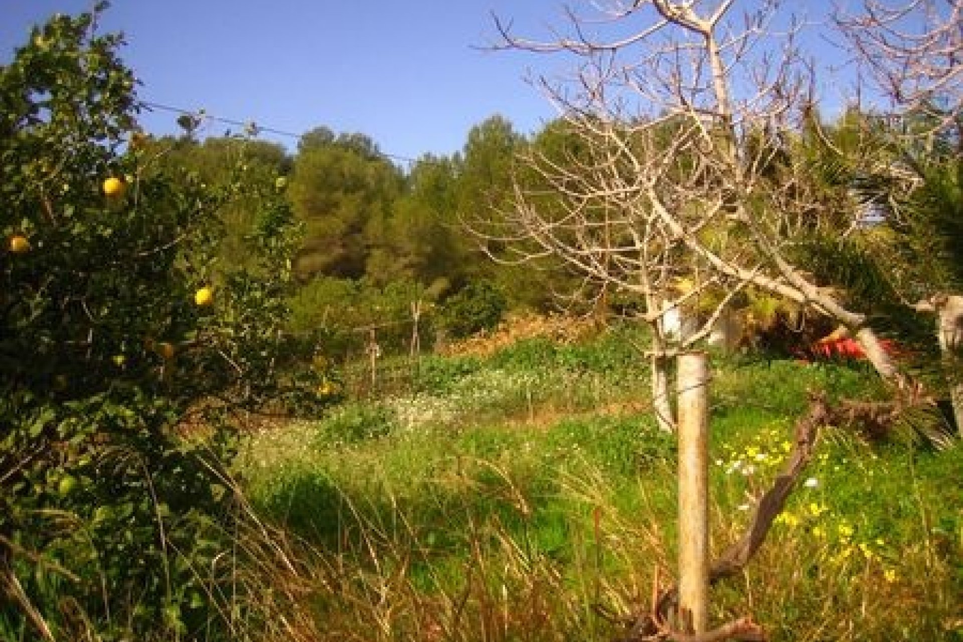 Sale - Land - Moraira - El Portet