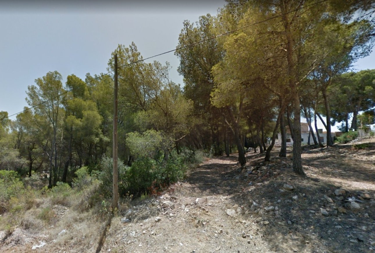 Sale - Land - Moraira - Pinar de L'Adovcat