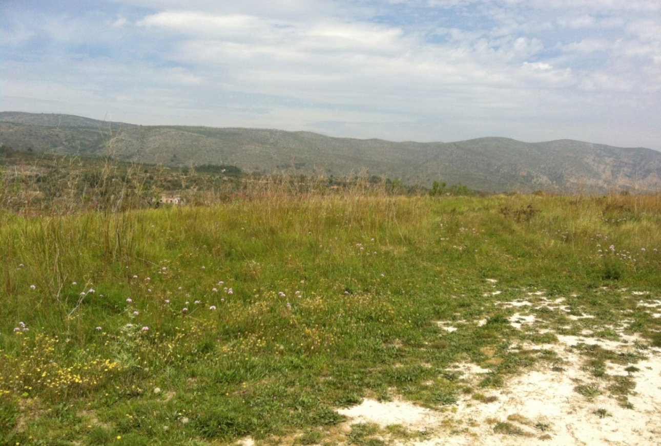 Sale - Plot - Benissa - Partida Berdica Blanca
