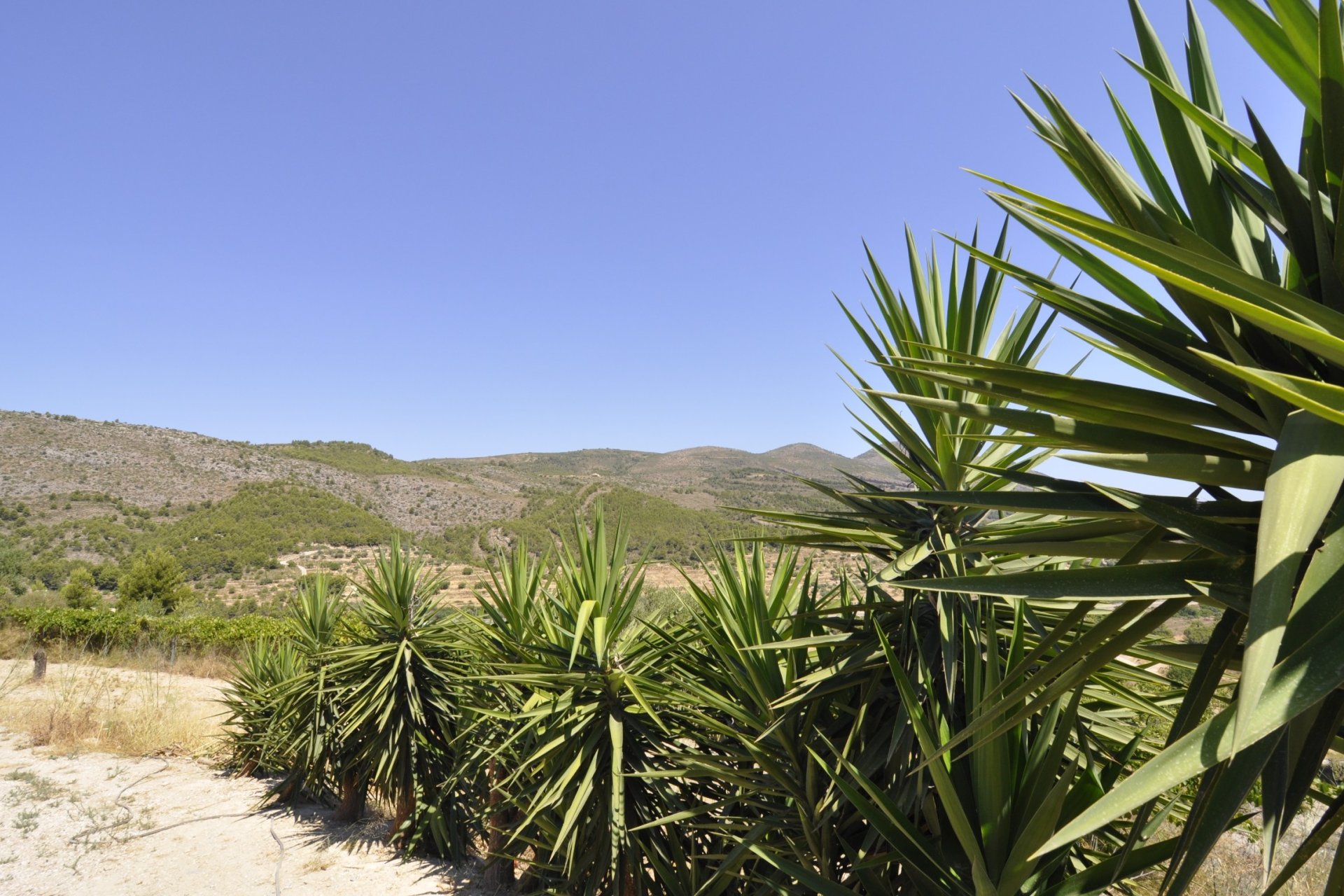 Sale - Villa - Benissa - 03720