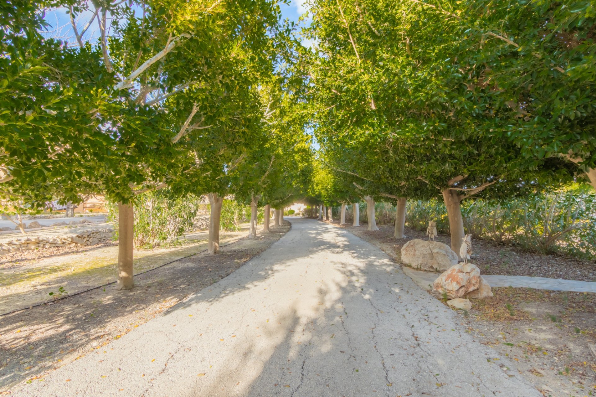 Sale - Villa - Benissa - 03720