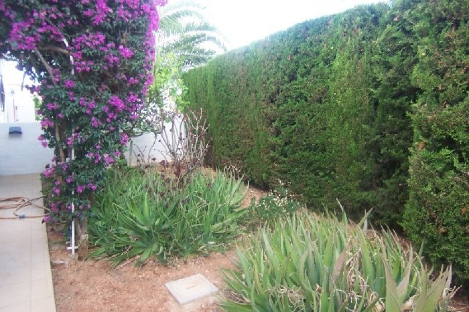 Sale - Villa - Benissa - Buenavista