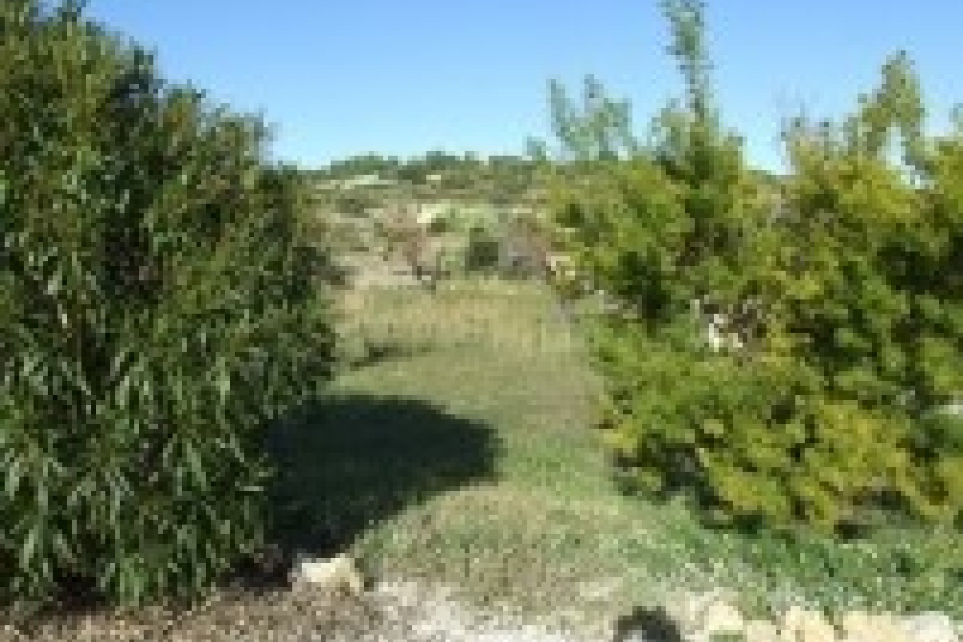 Sale - Villa - Benissa - Canor