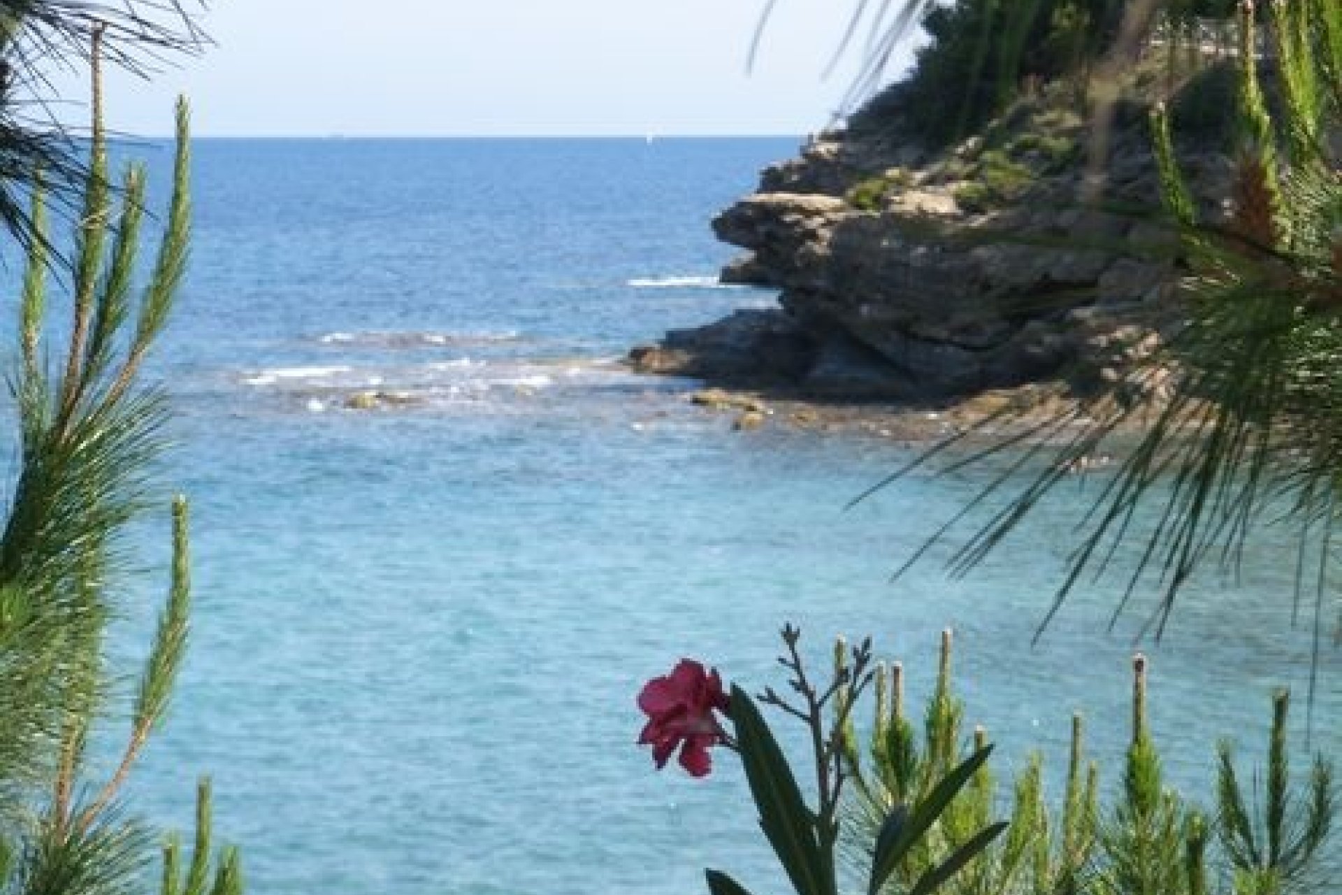 Sale - Villa - Benissa - Fustera
