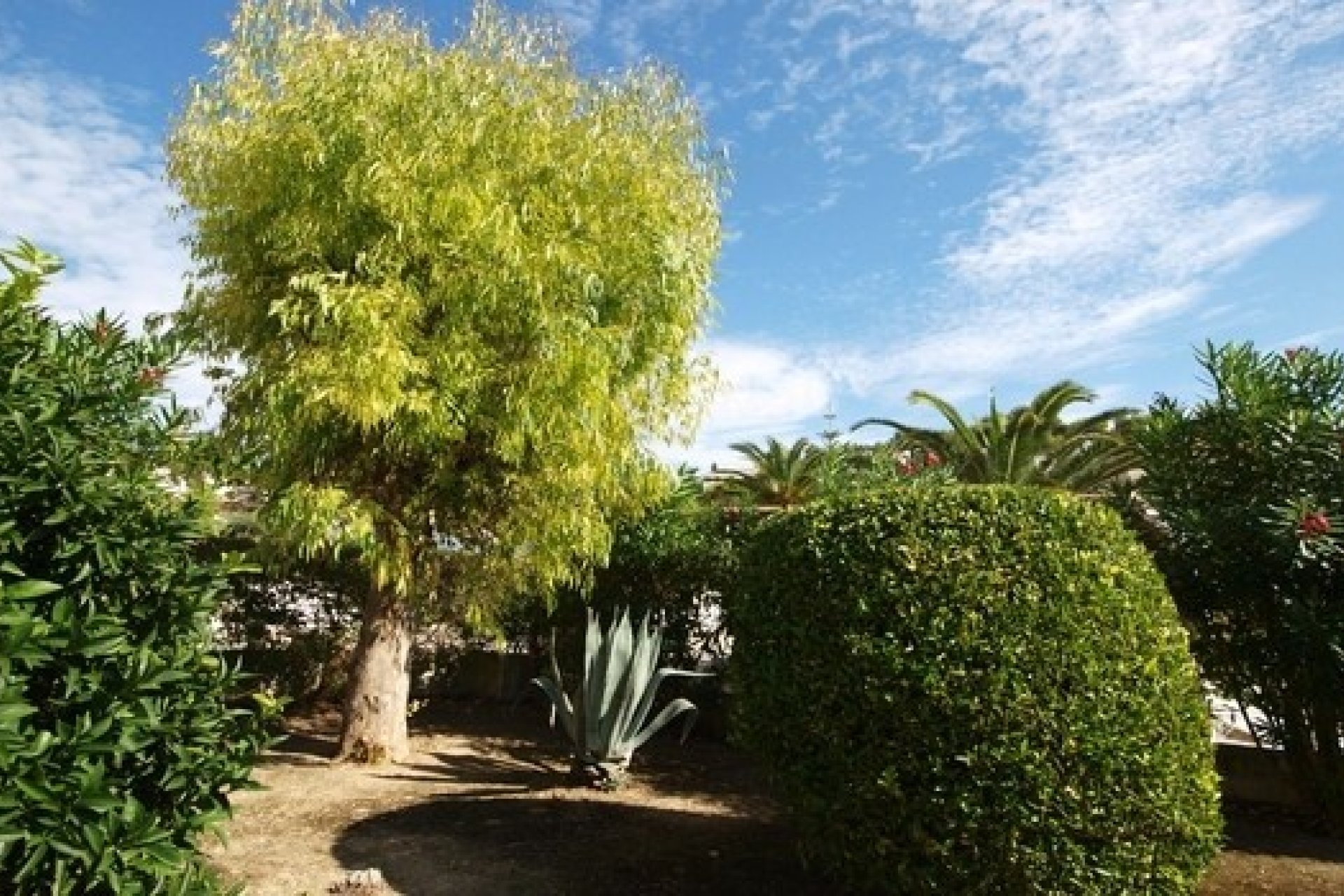 Sale - Villa - Benissa - Montemar
