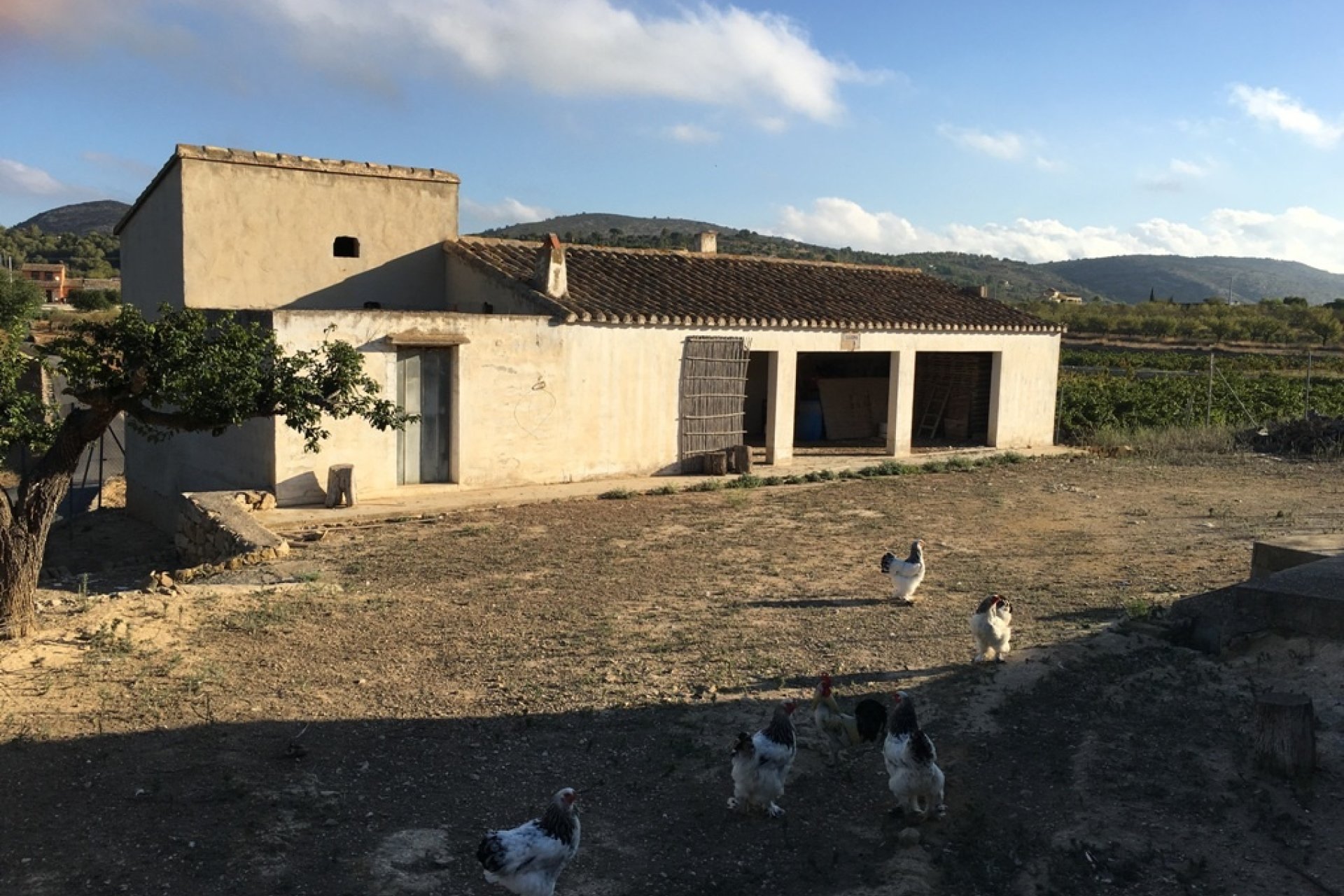 Sale - Villa - Benissa - Rural