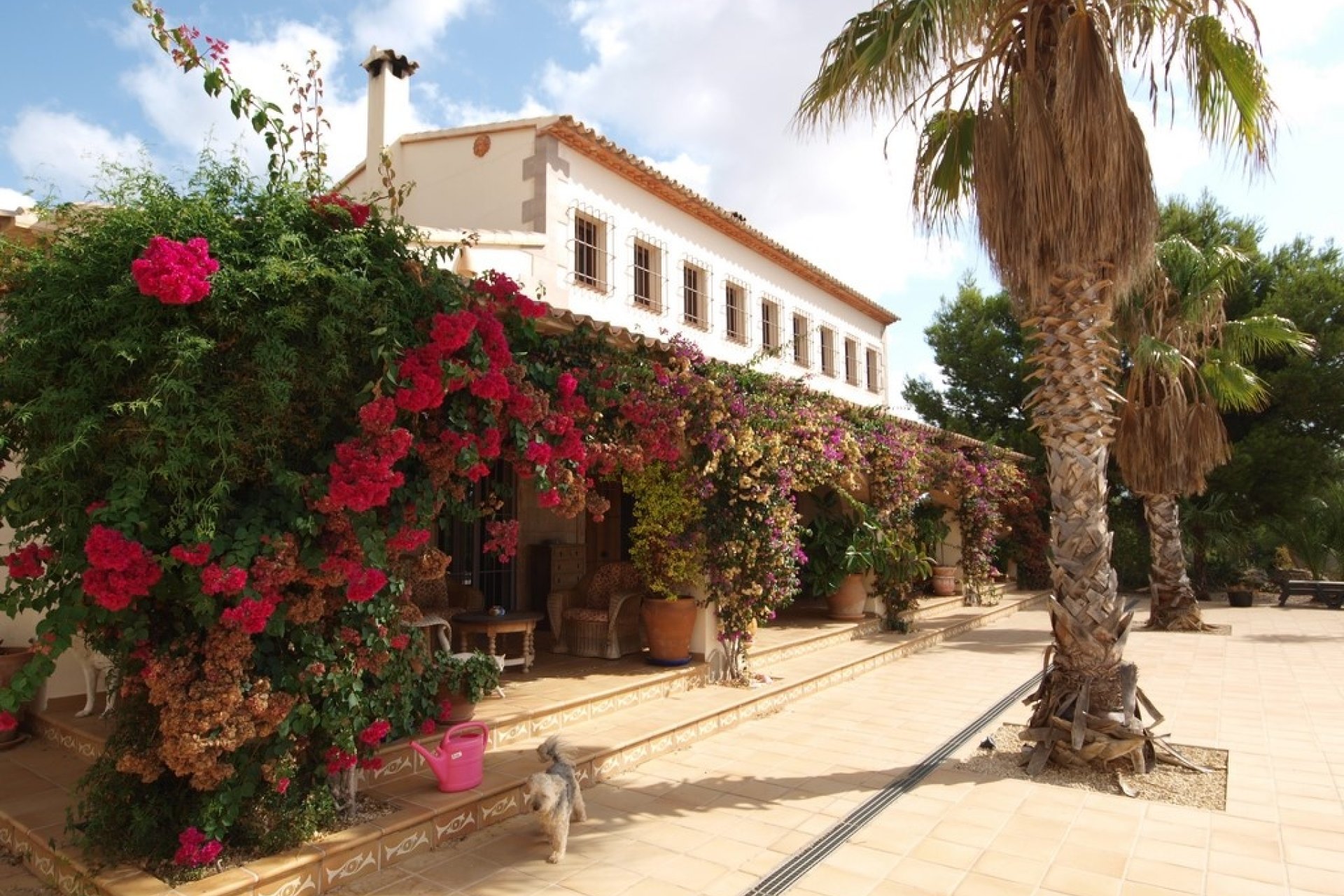Sale - Villa - Benissa