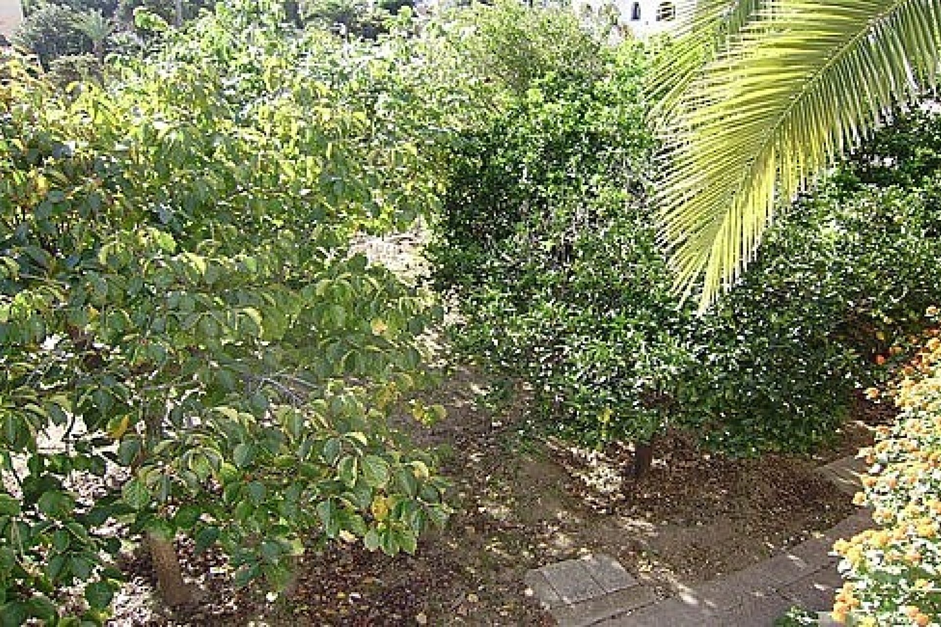 Sale - Villa - Benissa